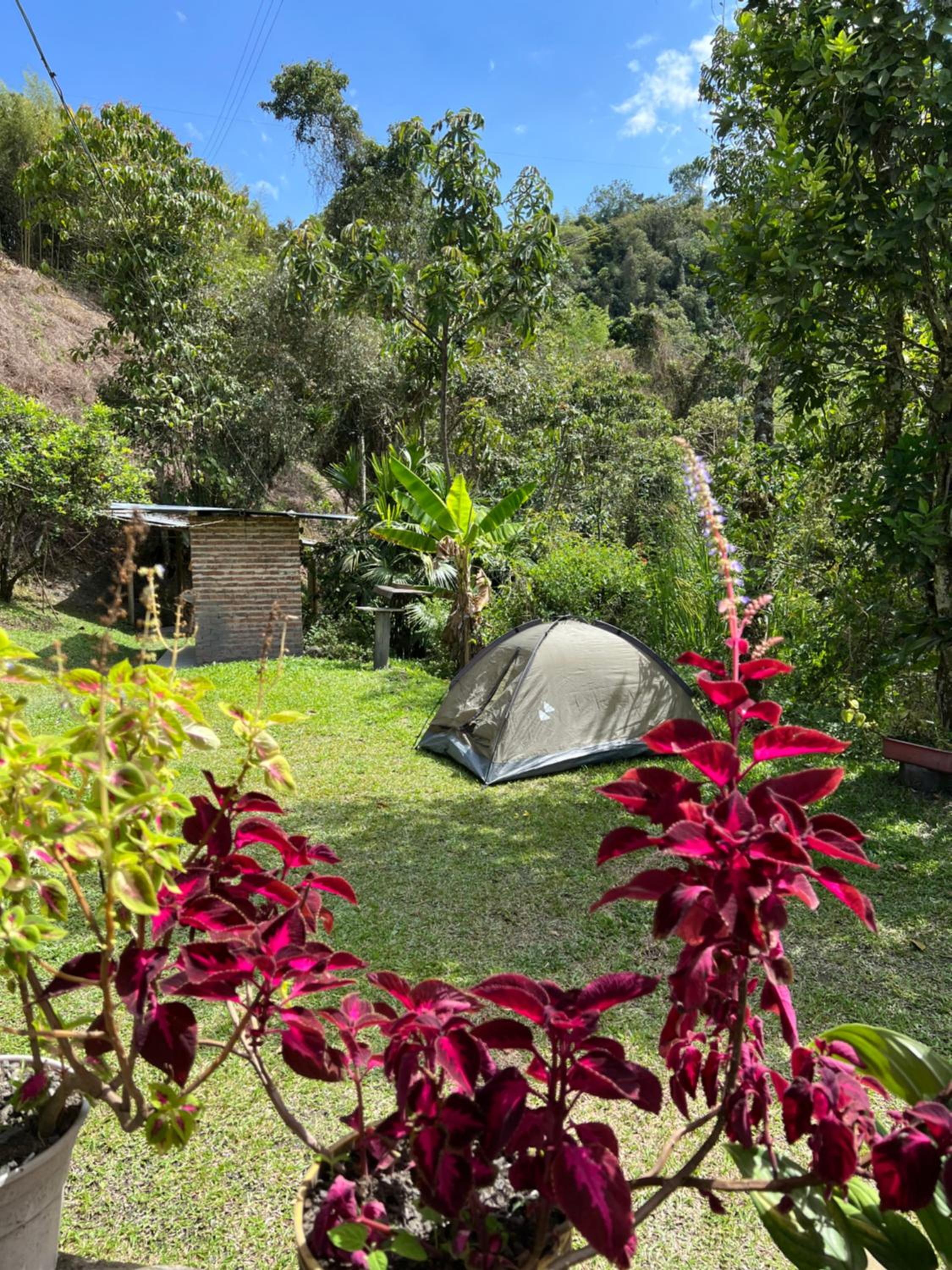 Luz de Luna Camping