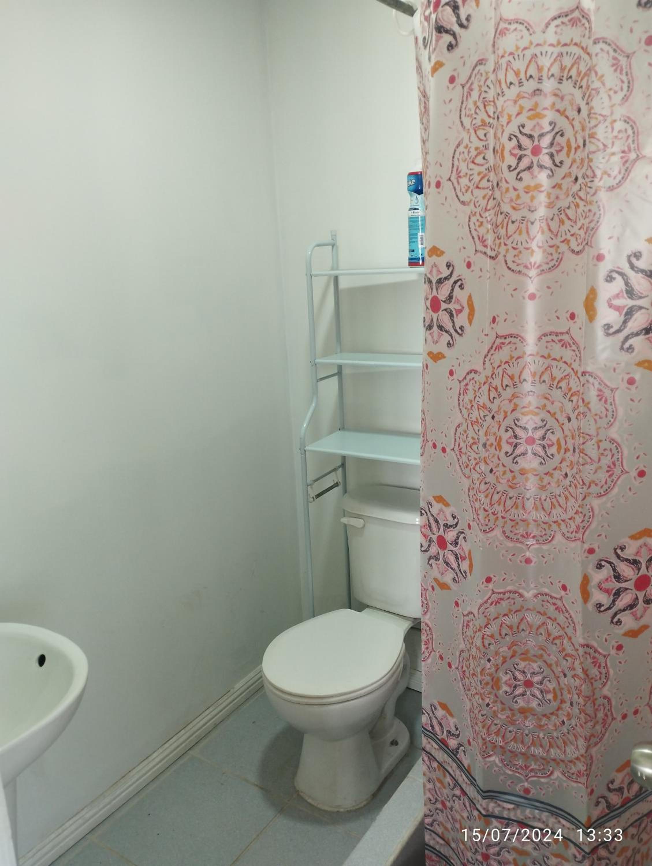 Nykole home studio