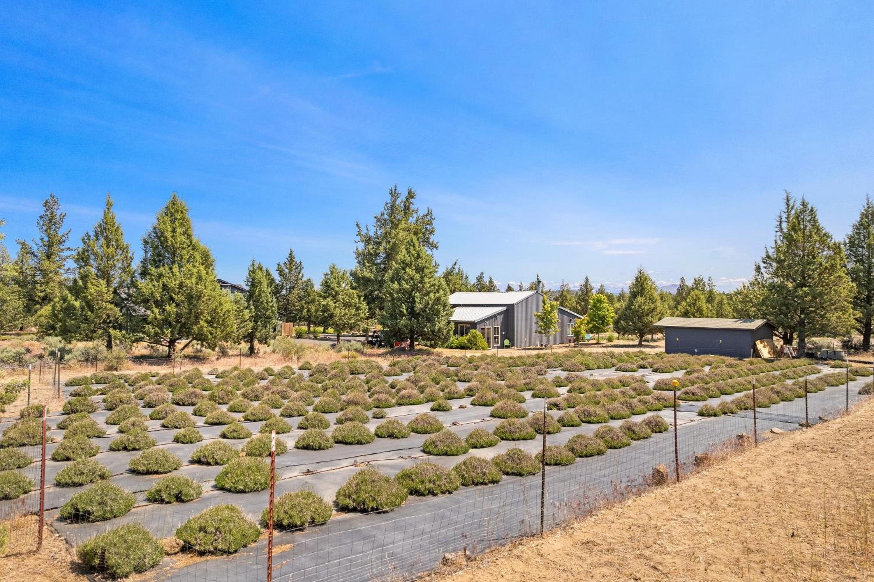 The Gem Estate by AvantStay Modern Farmhouse w Lavender Fields Hot Tub