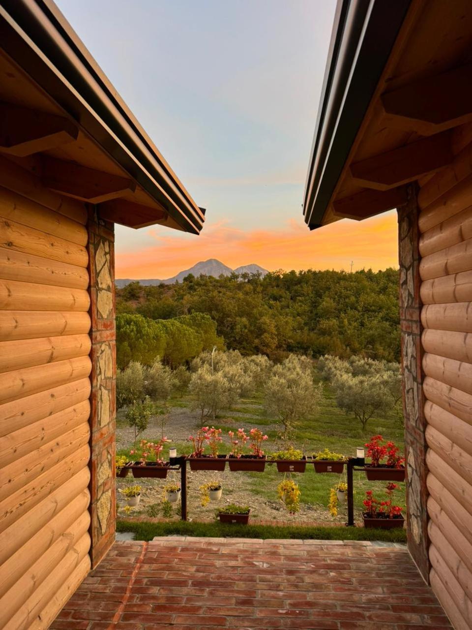 Guest House Si n'shpi tande - Mrizi i Zanave