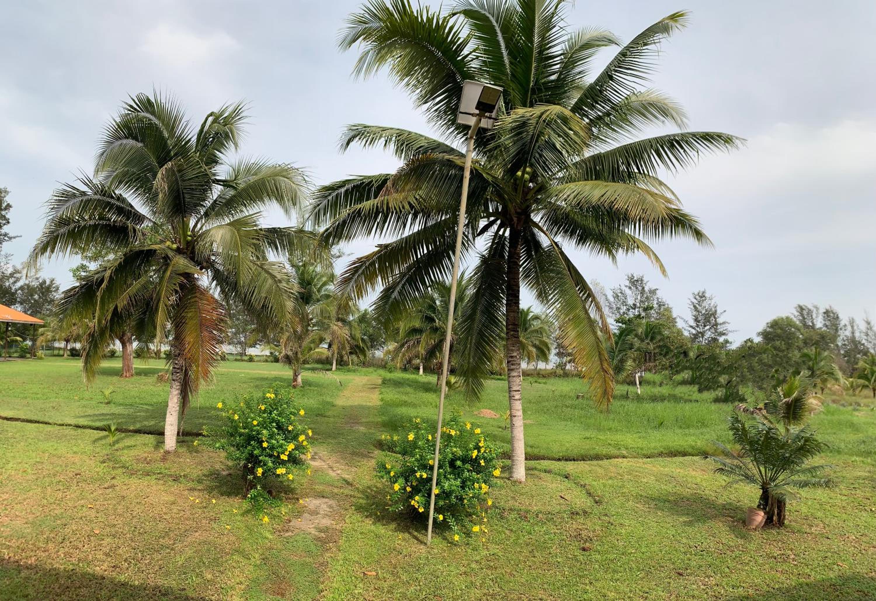 Helang Beach View photo 4