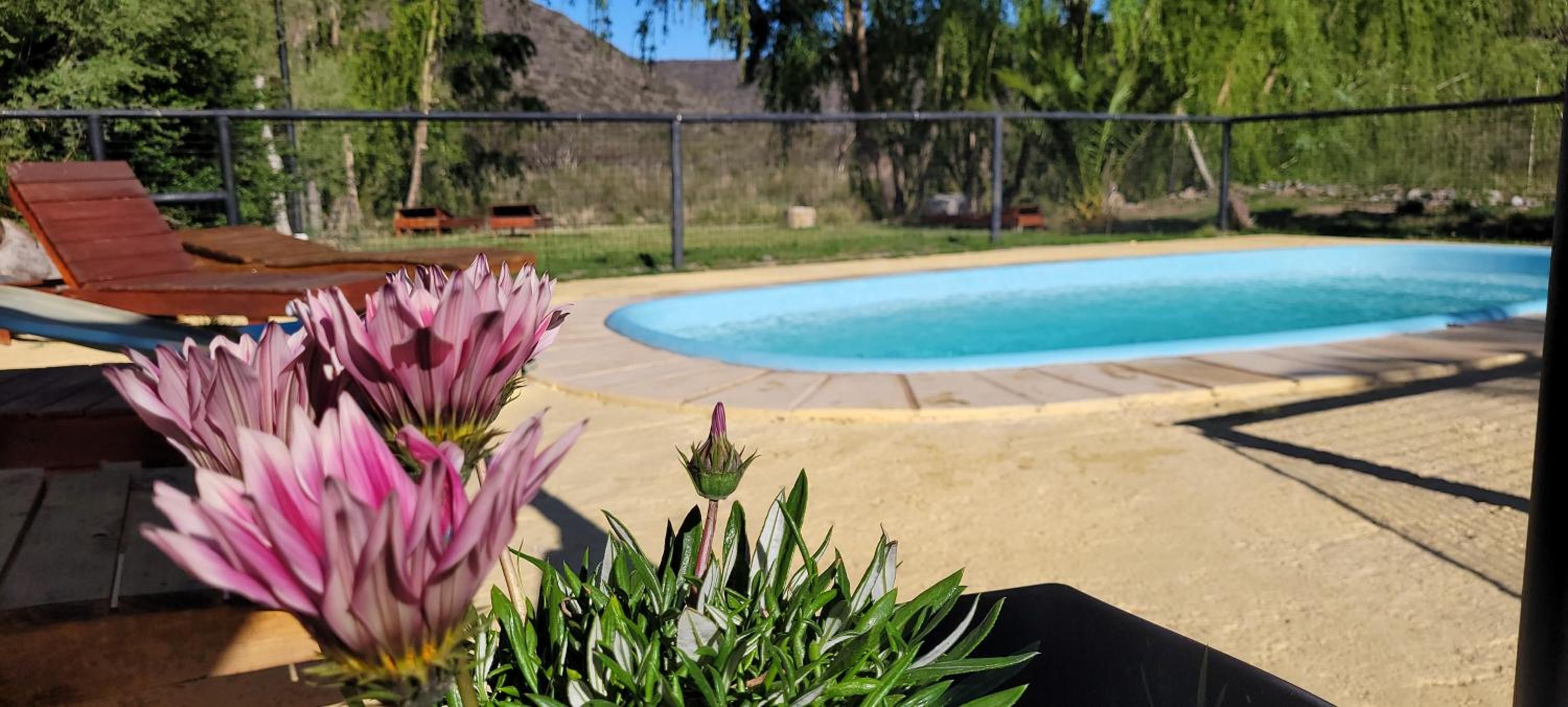 Cabañas La Esperanza Del Valle