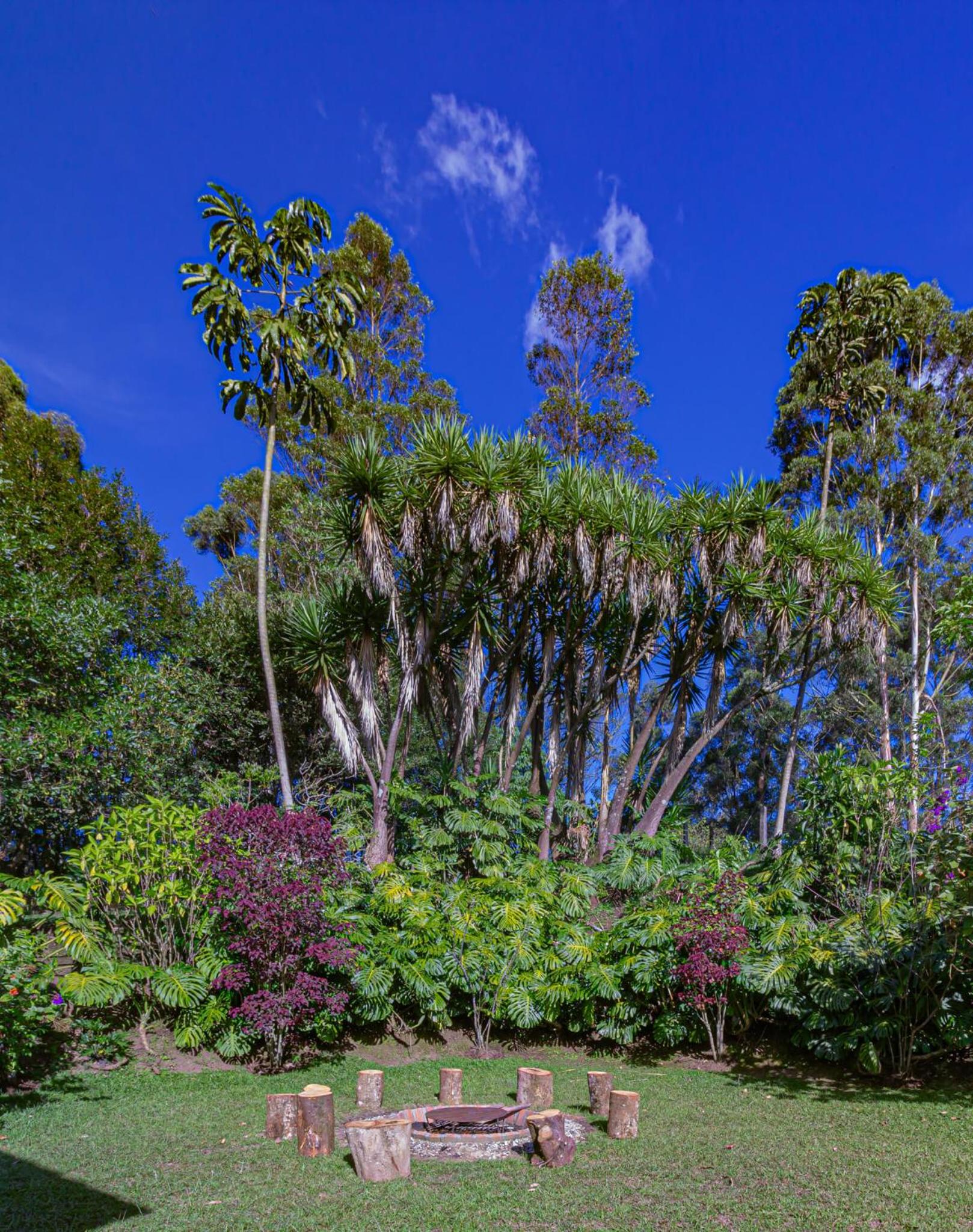 Finca Palo Alto