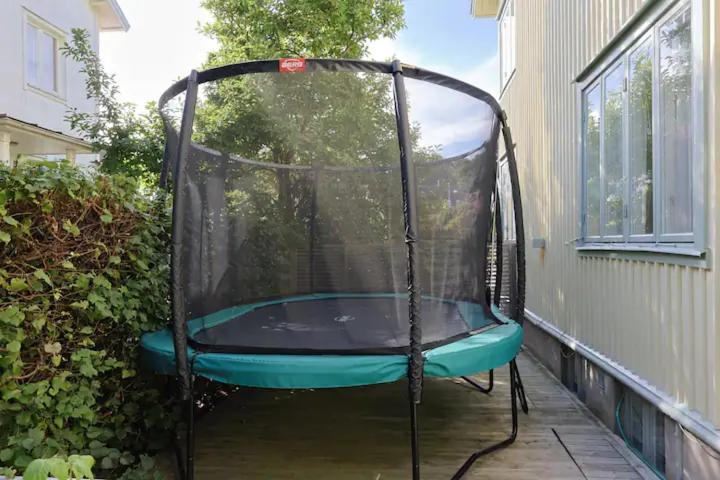 Photo 44