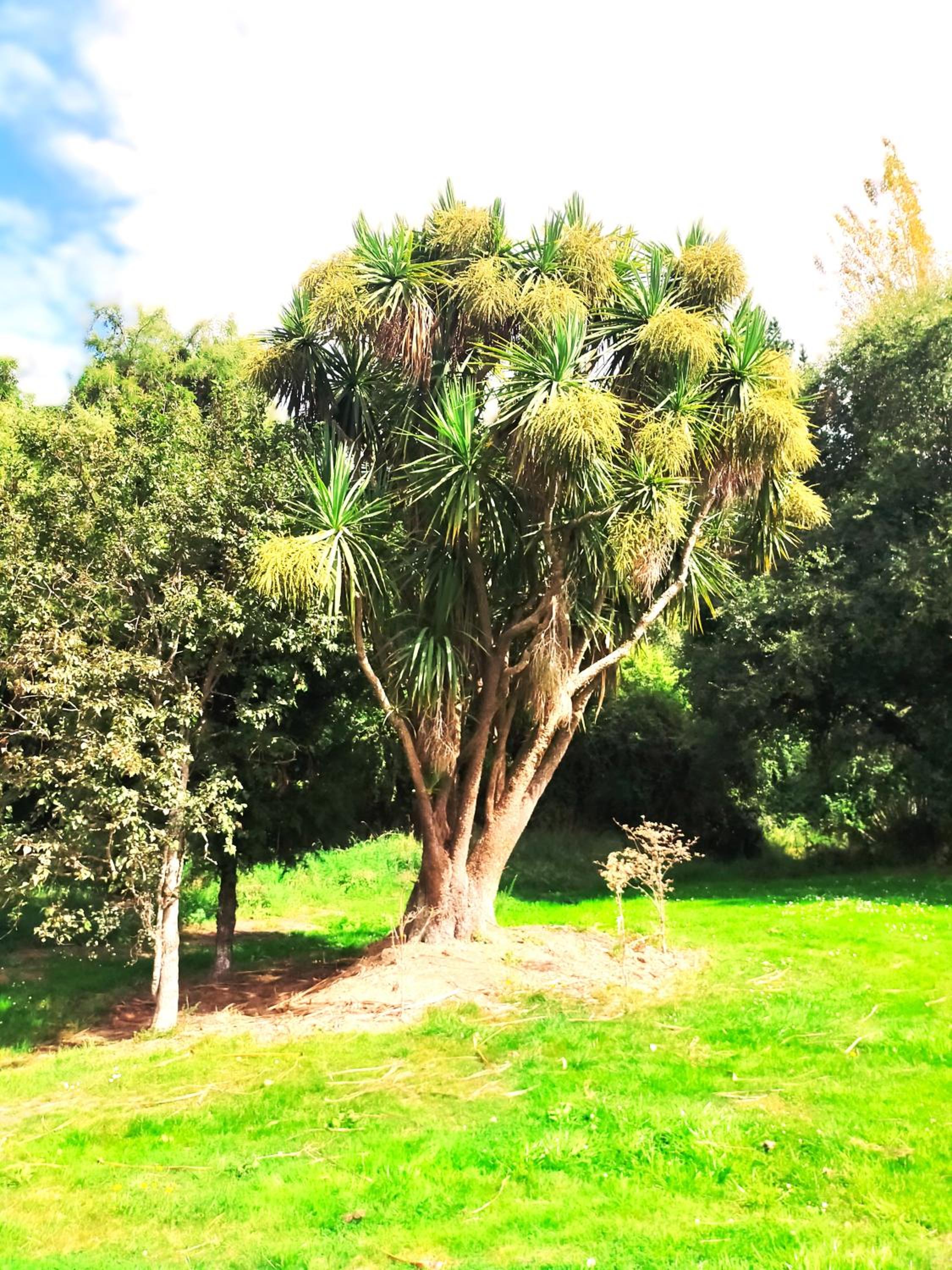 Photo 39