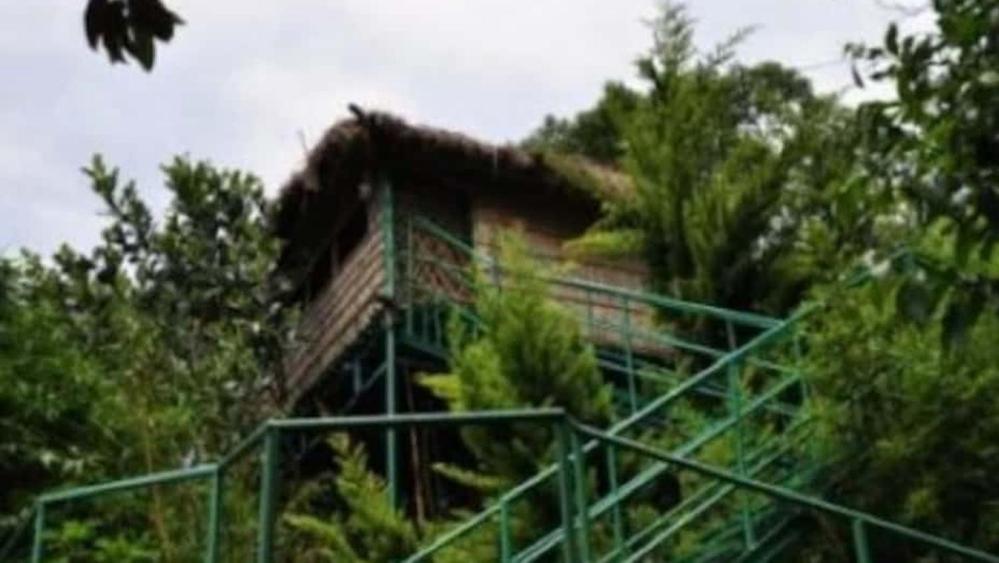 Photo 11