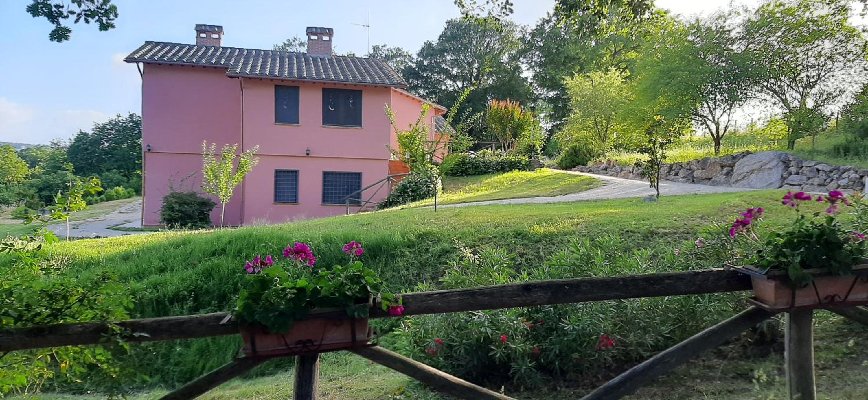 L'Albero degli Struzzi