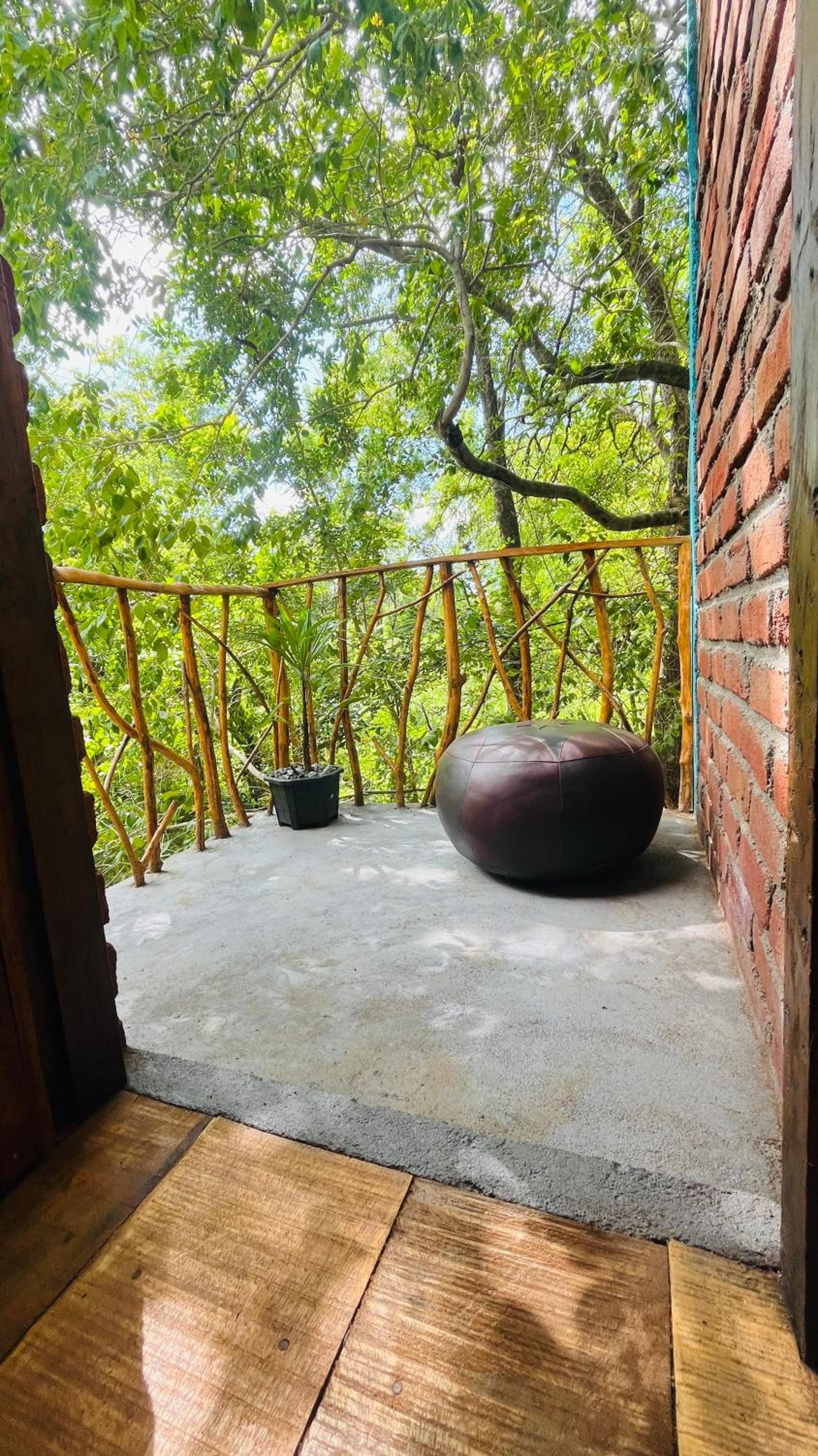 Ali Adi Eco Tree House view 4
