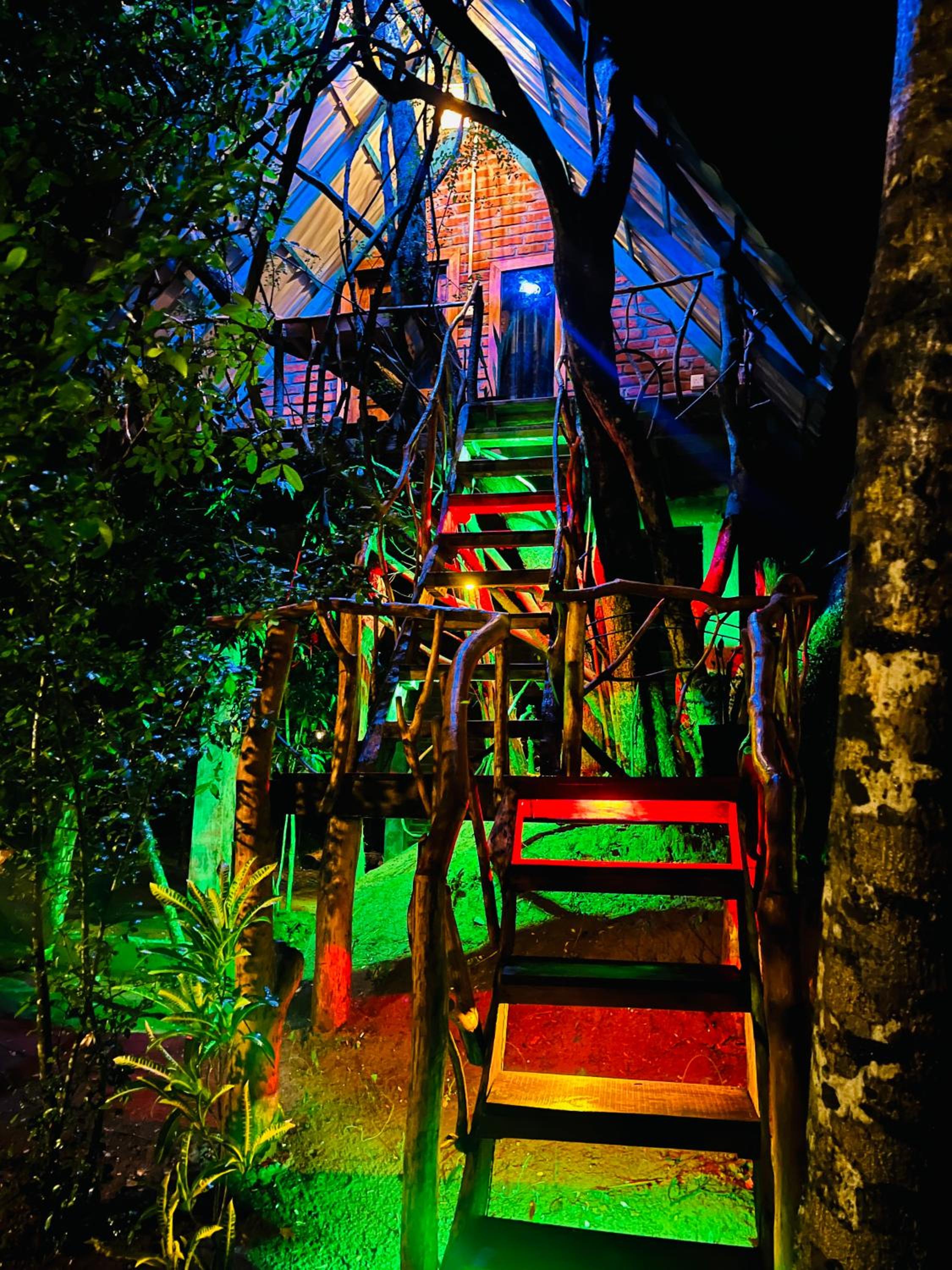 Ali Adi Eco Tree House view 5