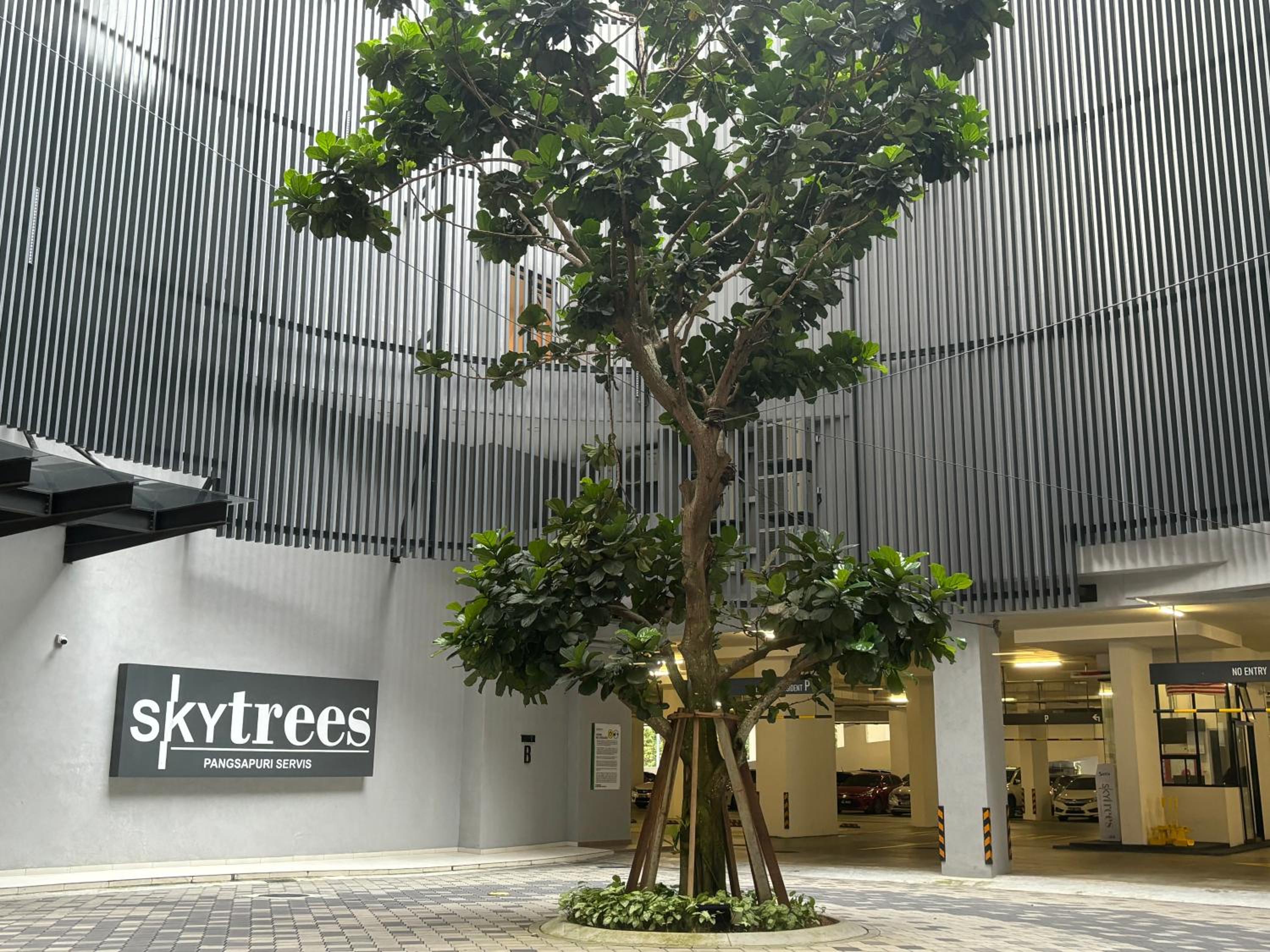 Skytrees Comfort Room With Simple Design Concept