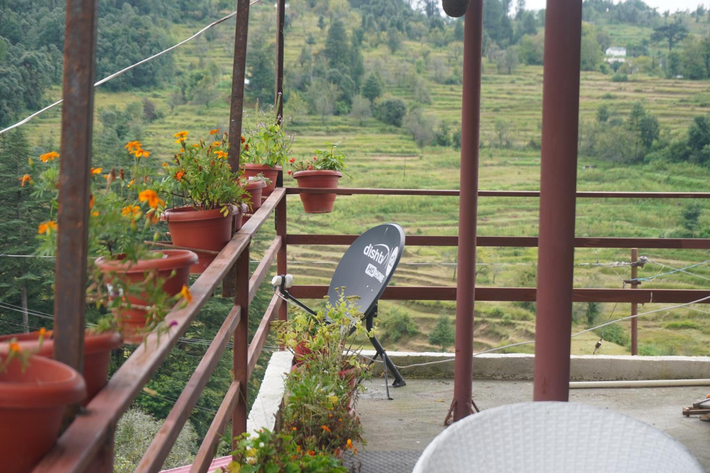 Shiv Dhwani Homestay Lohaghat