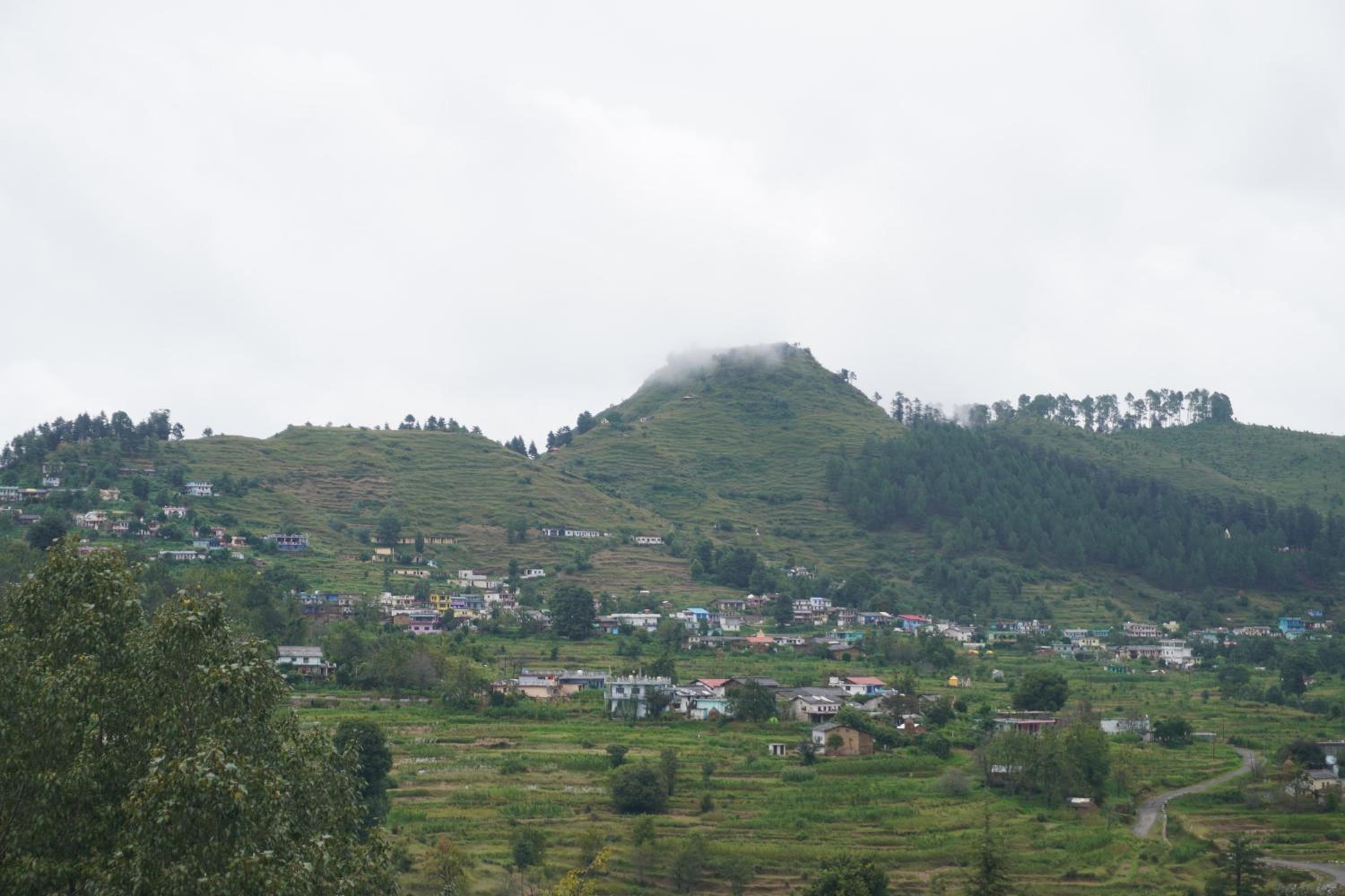 Shiv Dhwani Homestay Lohaghat