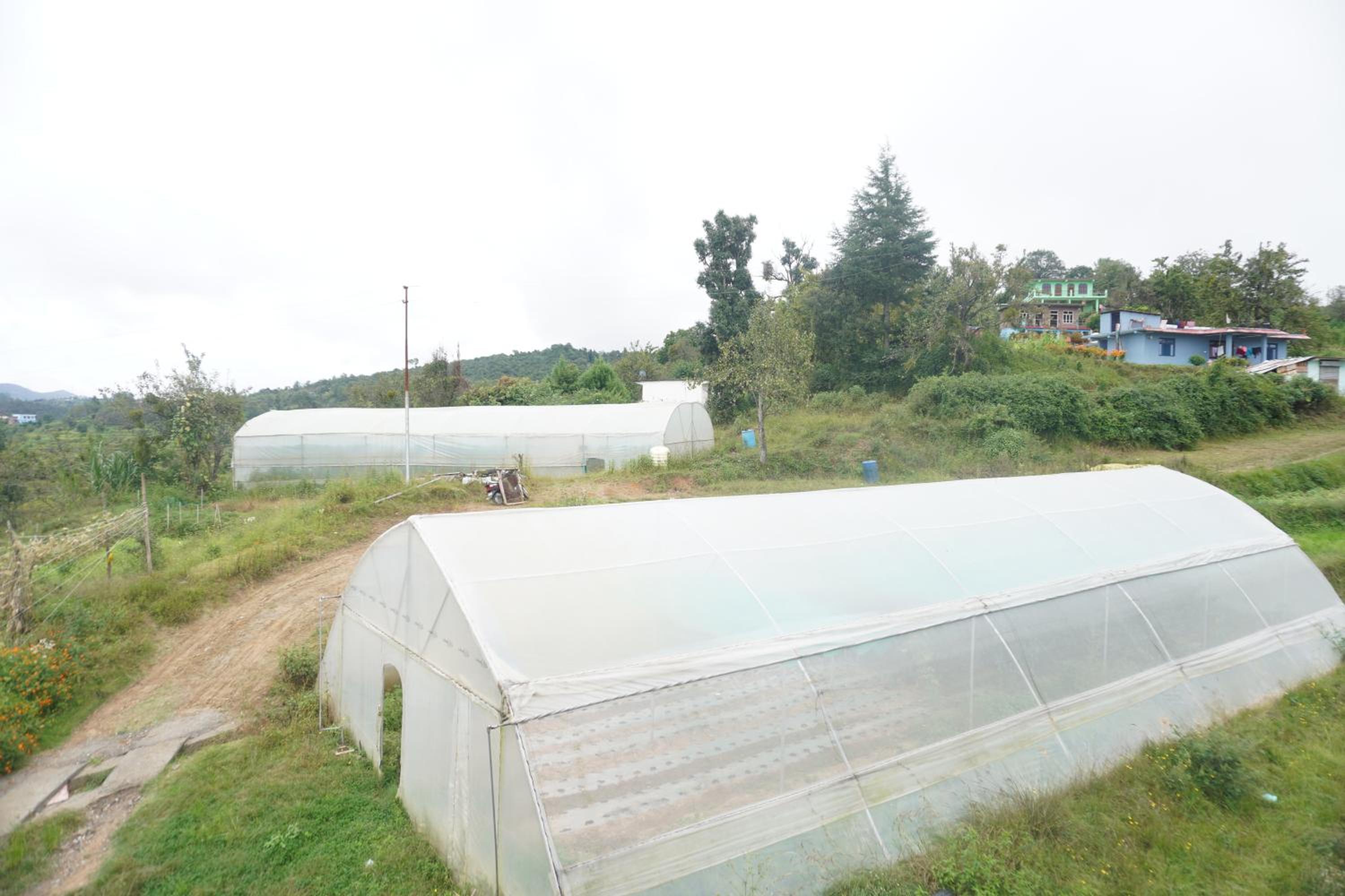 Shiv Dhwani Homestay Lohaghat