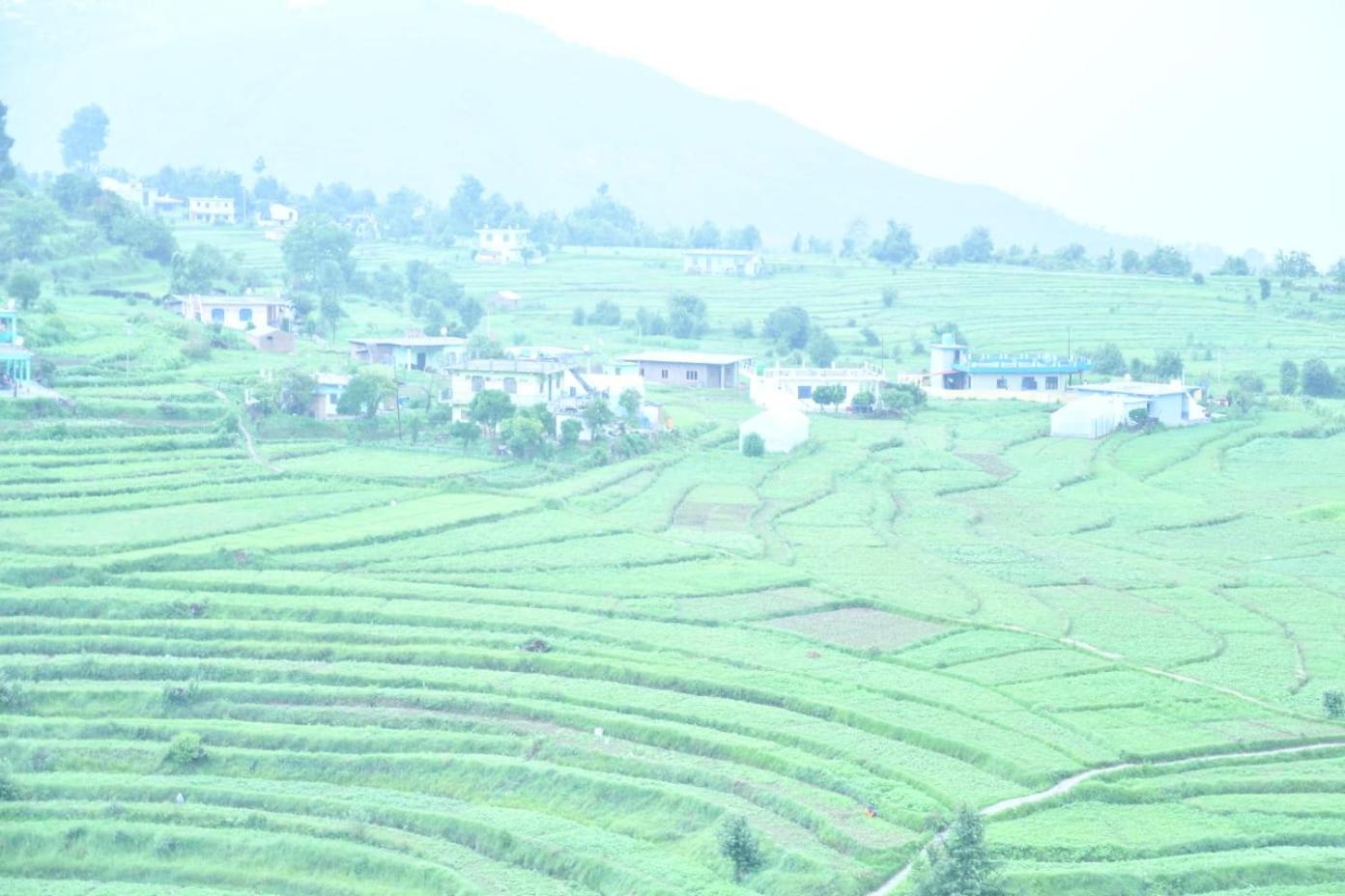 Shiv Dhwani Homestay Lohaghat