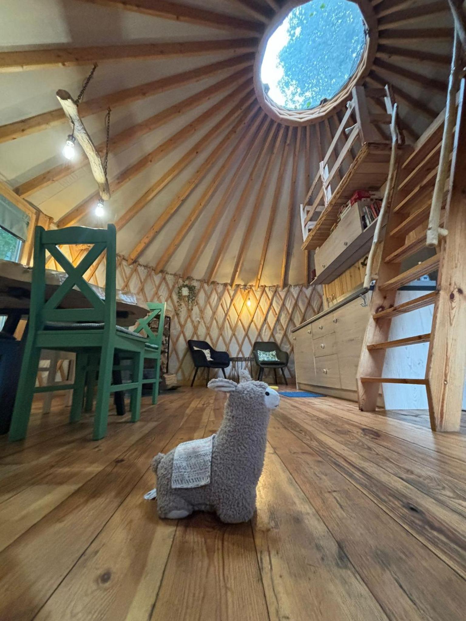 FORGLAMP, photo 50