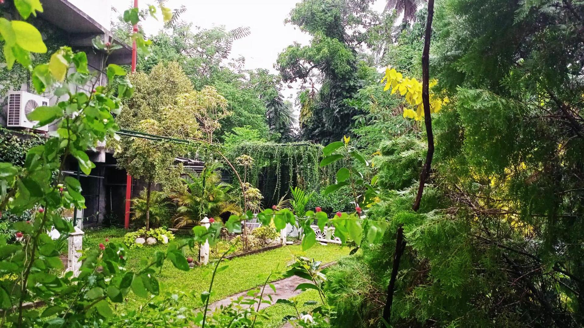 Nobel Bibila Hotel view 2