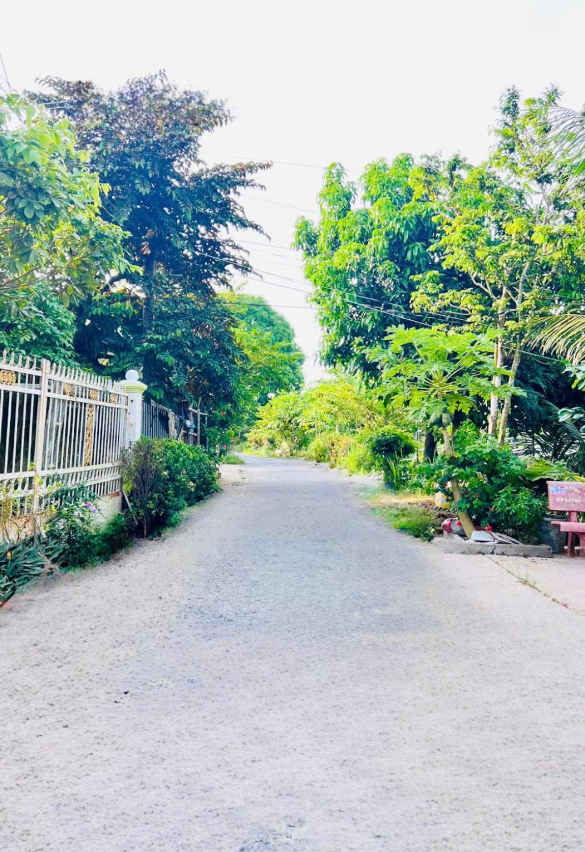 Photo 47