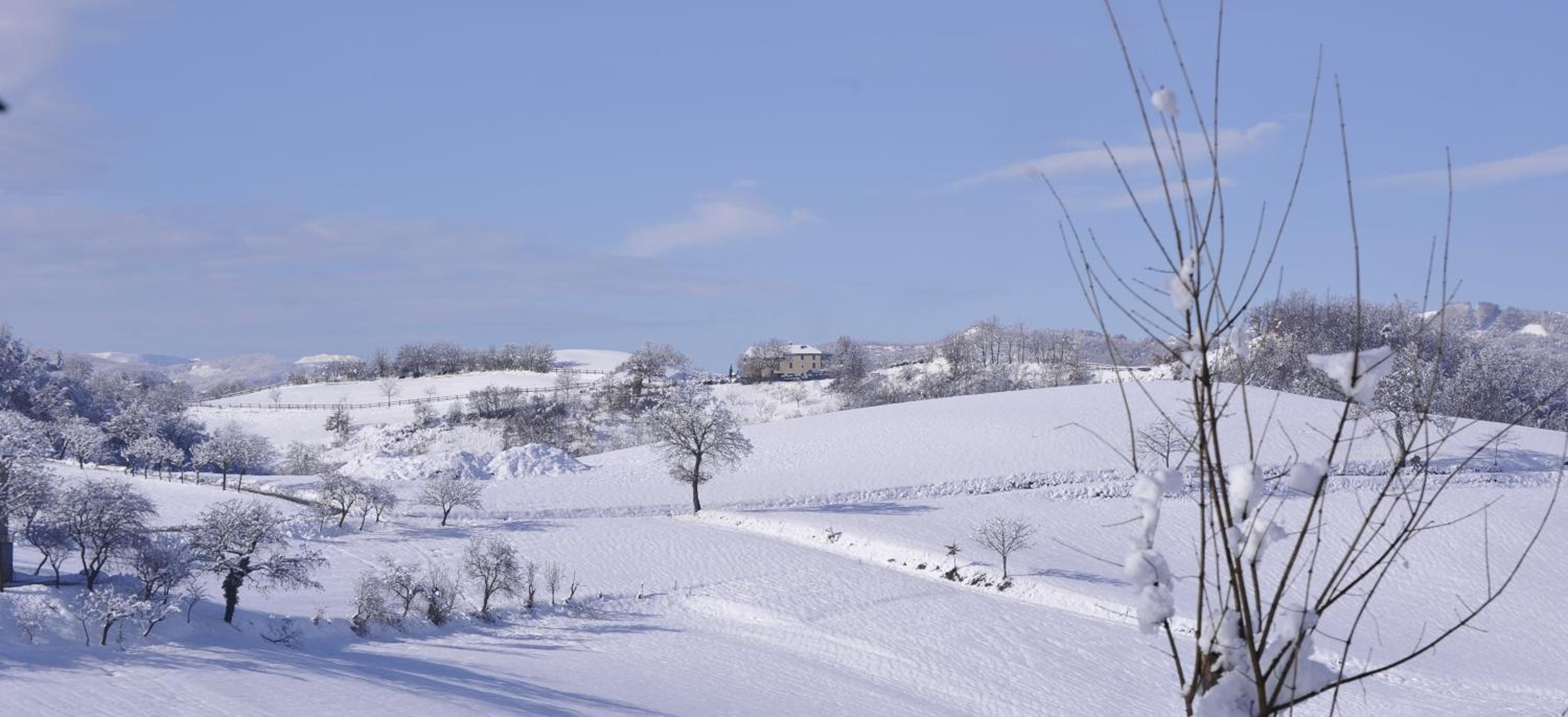 Agriturismo Campo del Pillo view 5