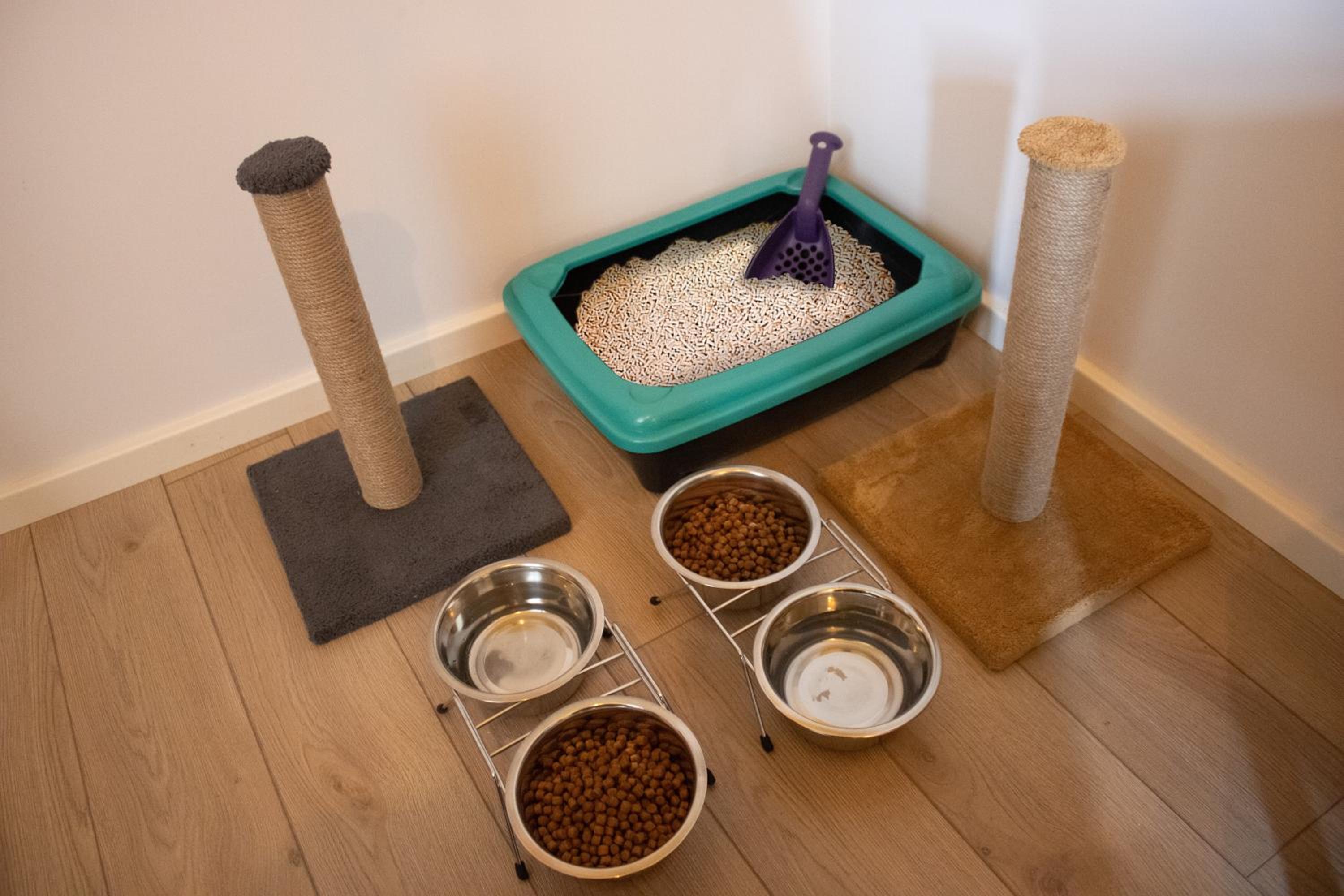 Bird Nest Suites - Image 81