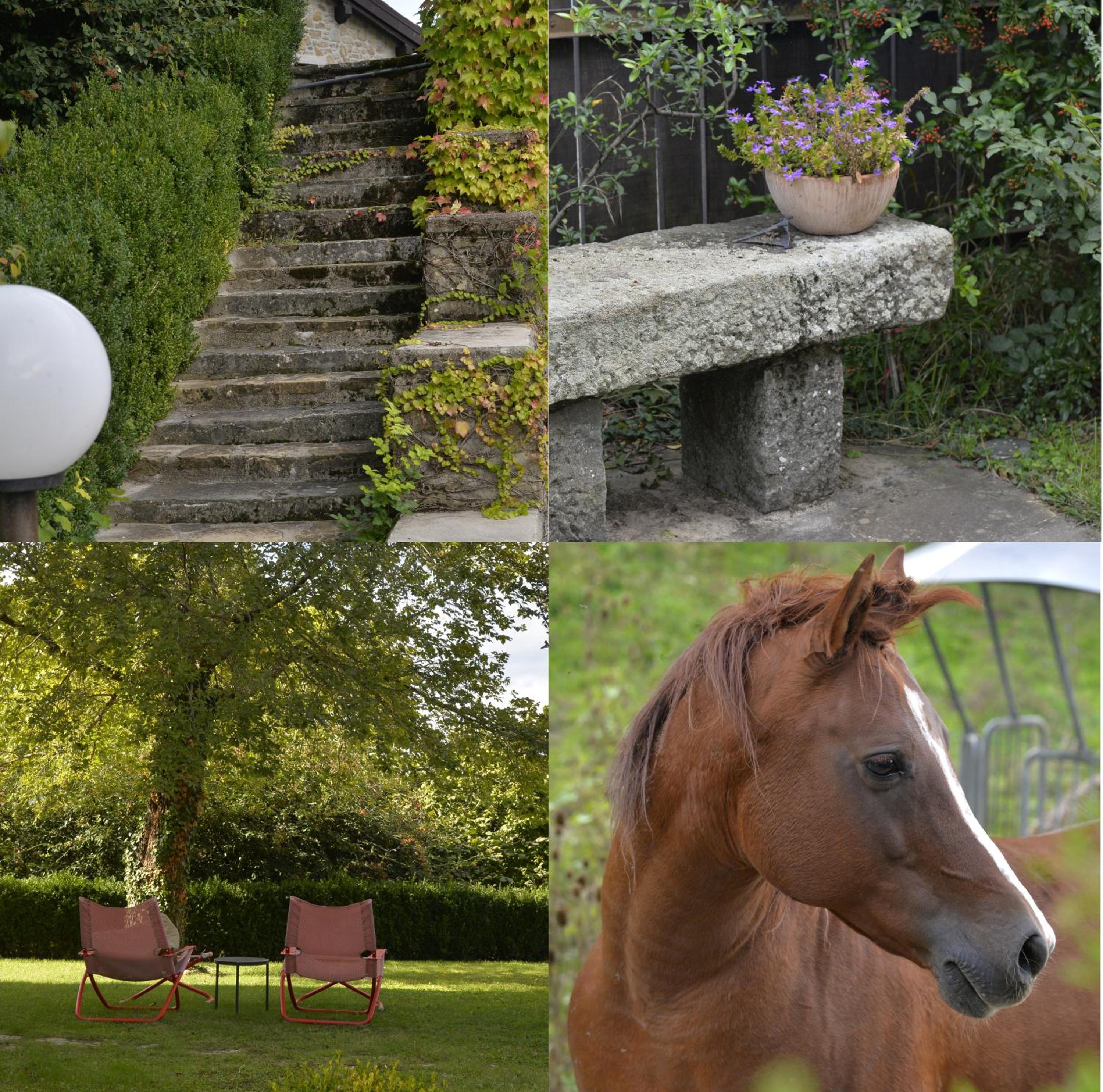 Photo 144