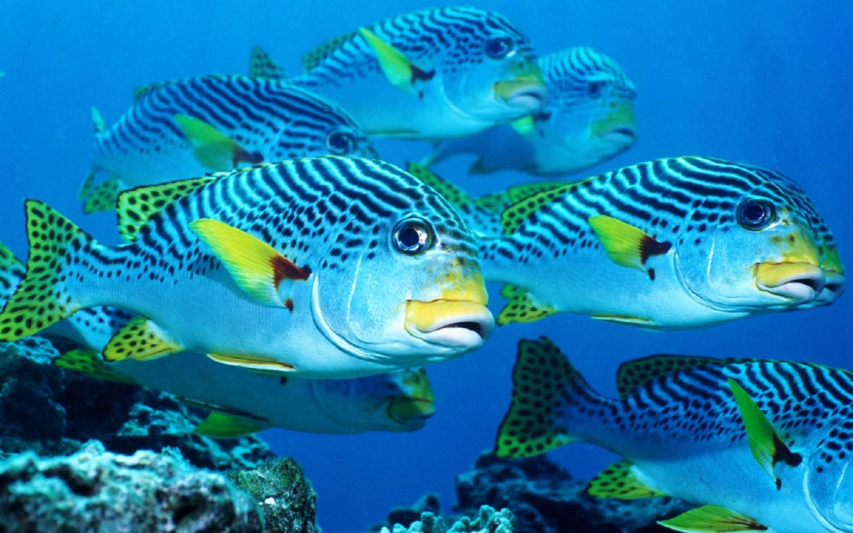 Kendhoo holidays