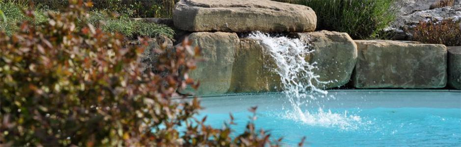 Photo 151