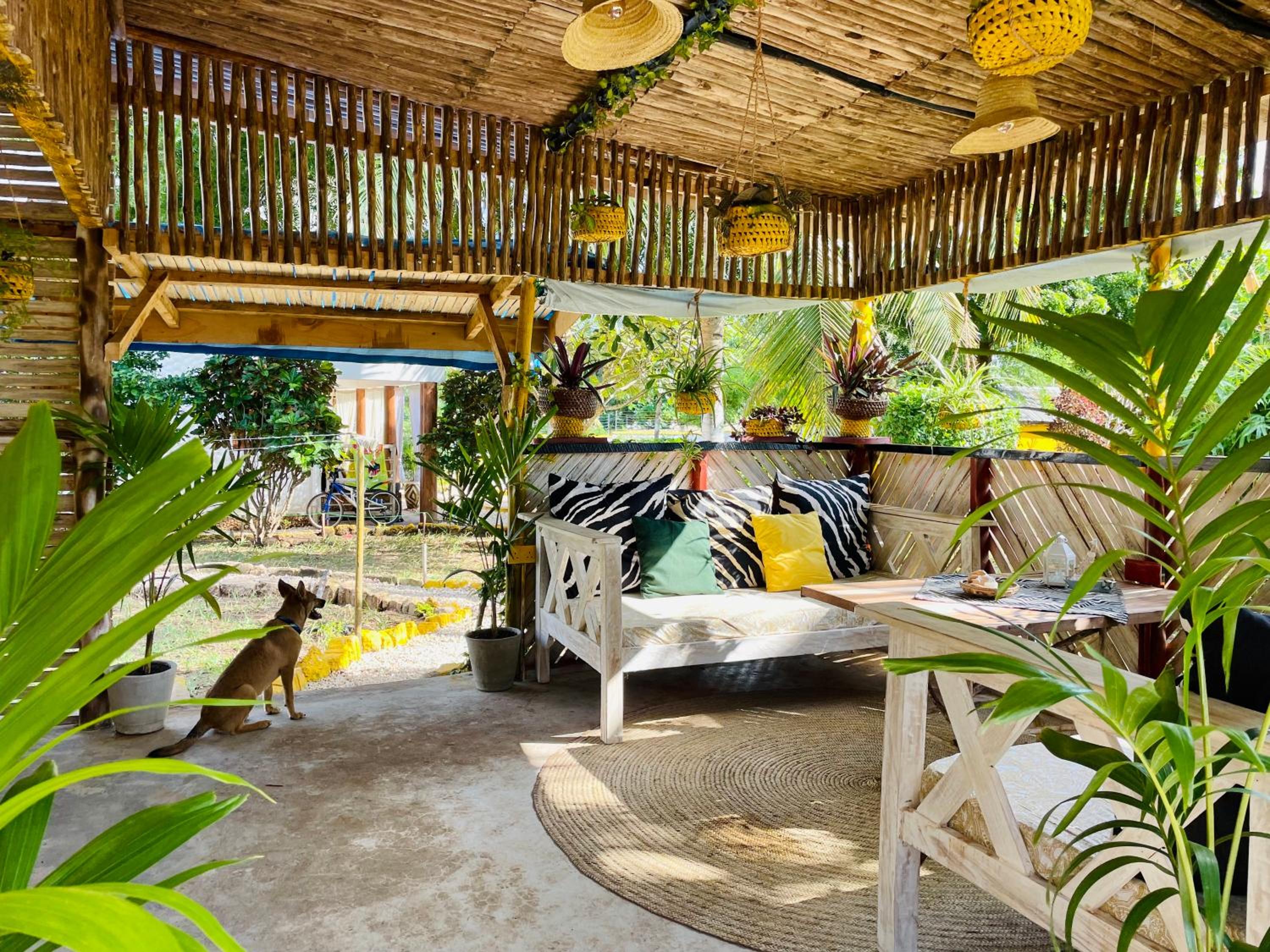 Hera Hostel Diani view 5