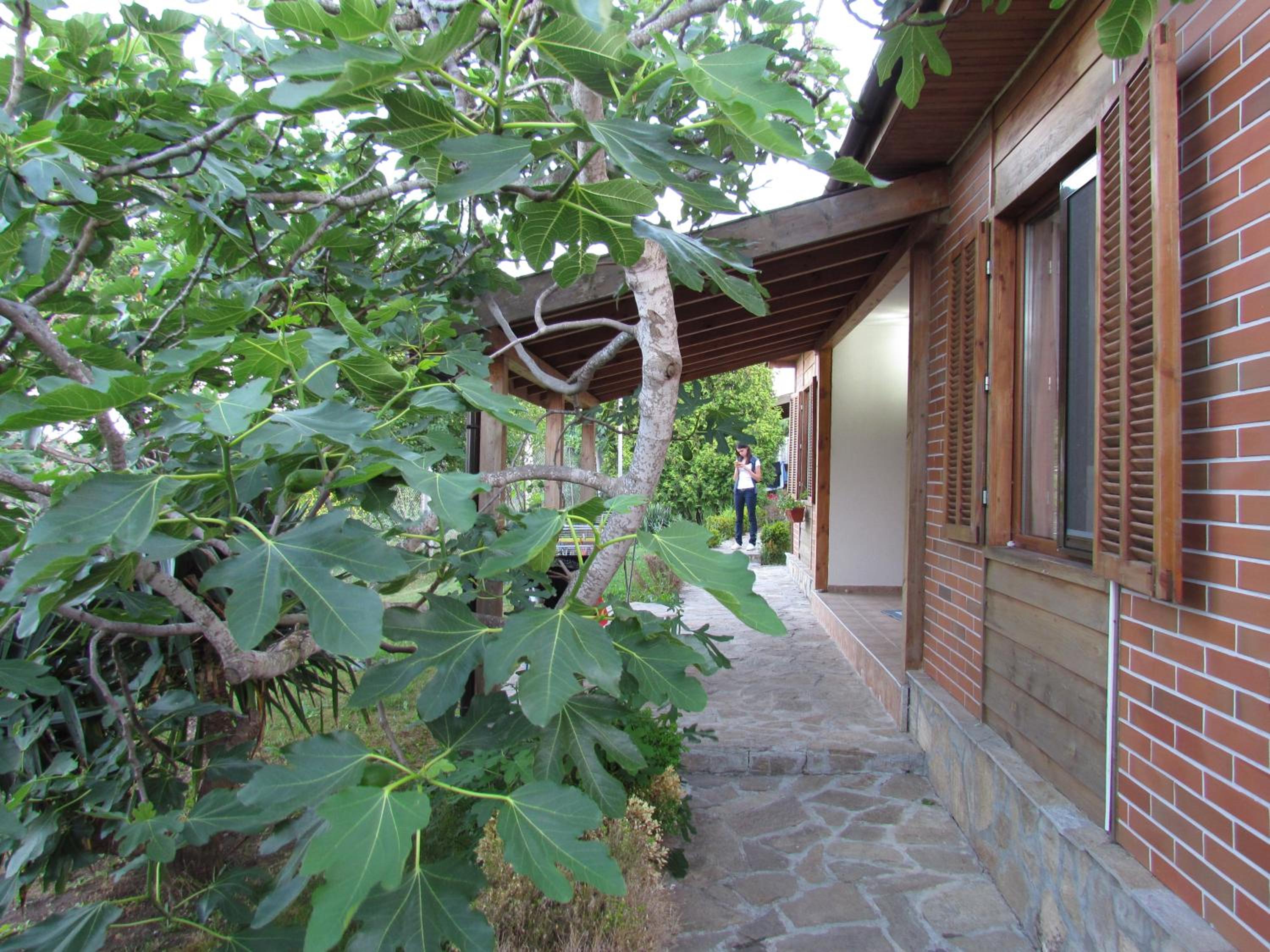Photo 48