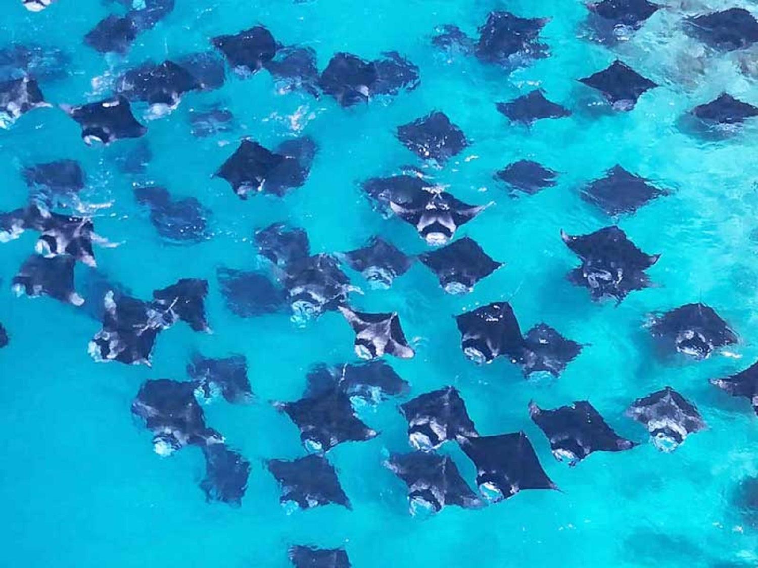 Kendhoo holidays