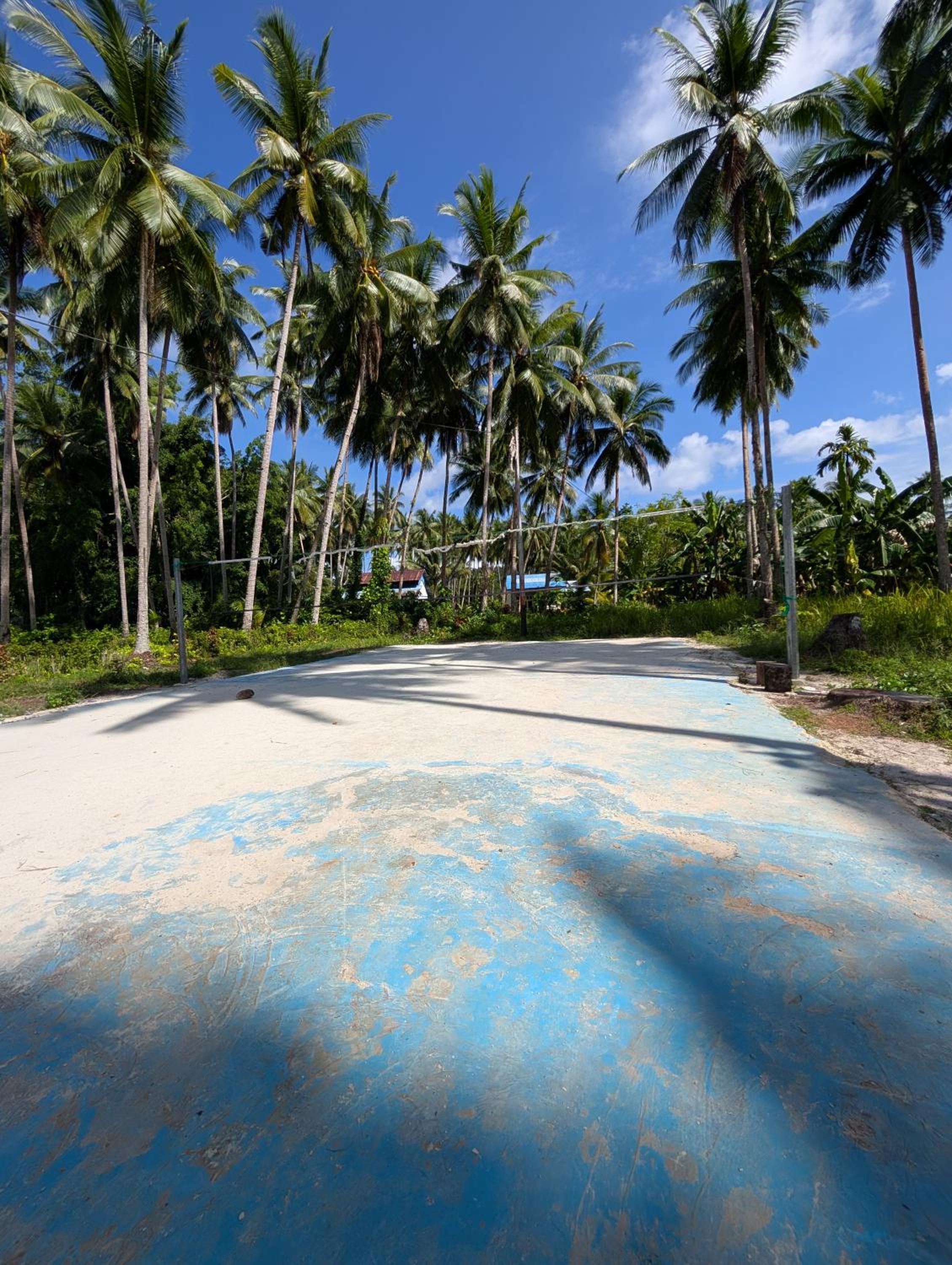 Friwen Mangrove Eco Lodge view 4