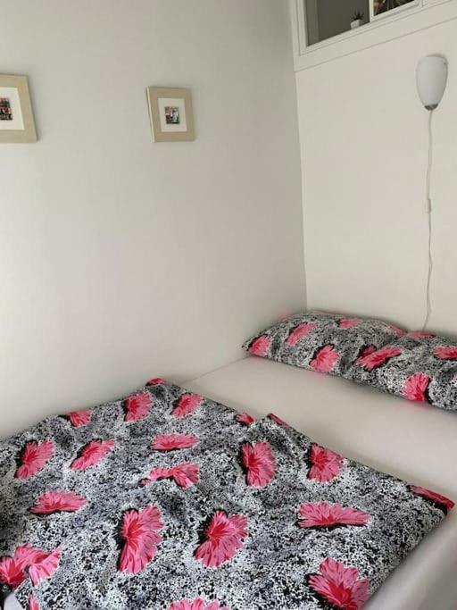 Apartment Lomea NADA