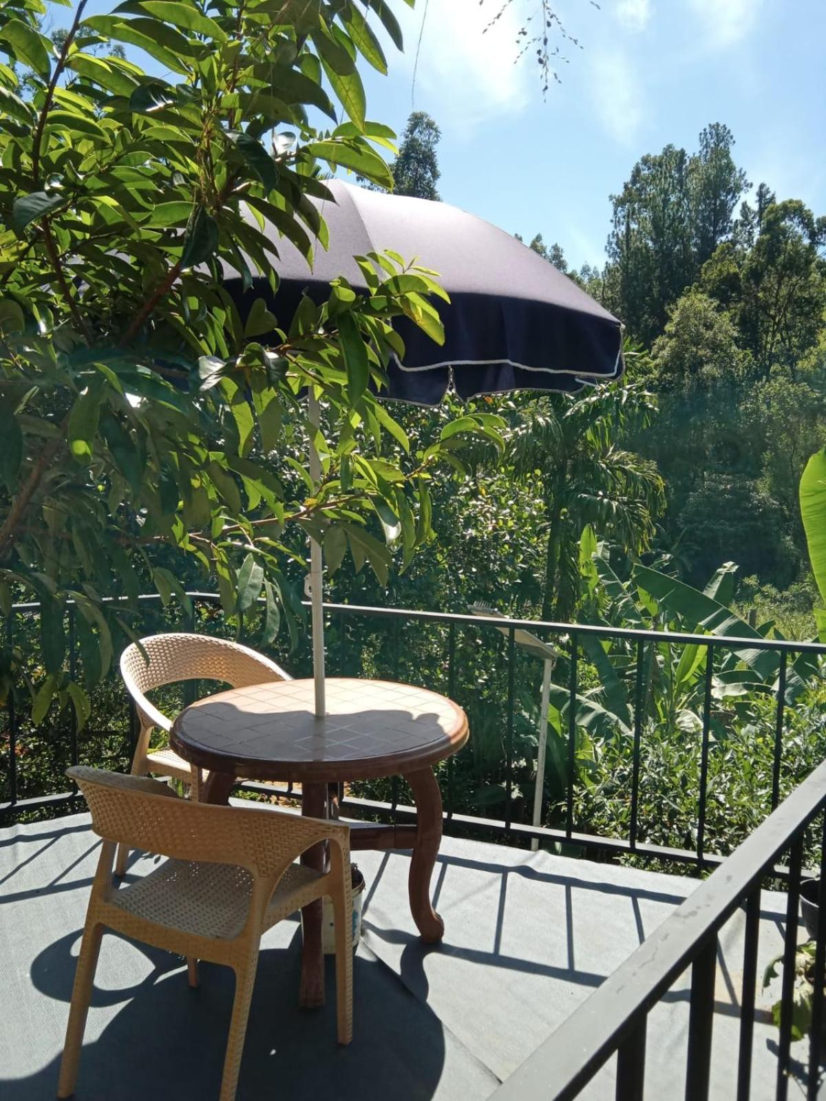 Mount Crest Lodge - Ella view 3