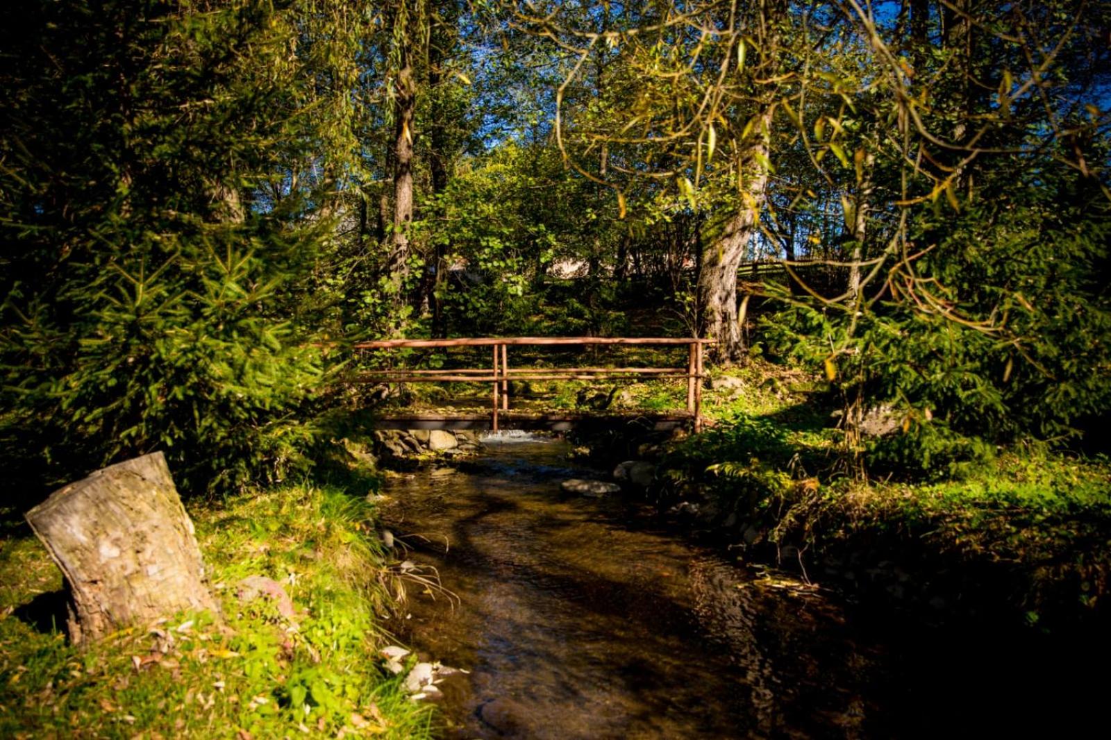 Medvebocs Vendégházak view 3