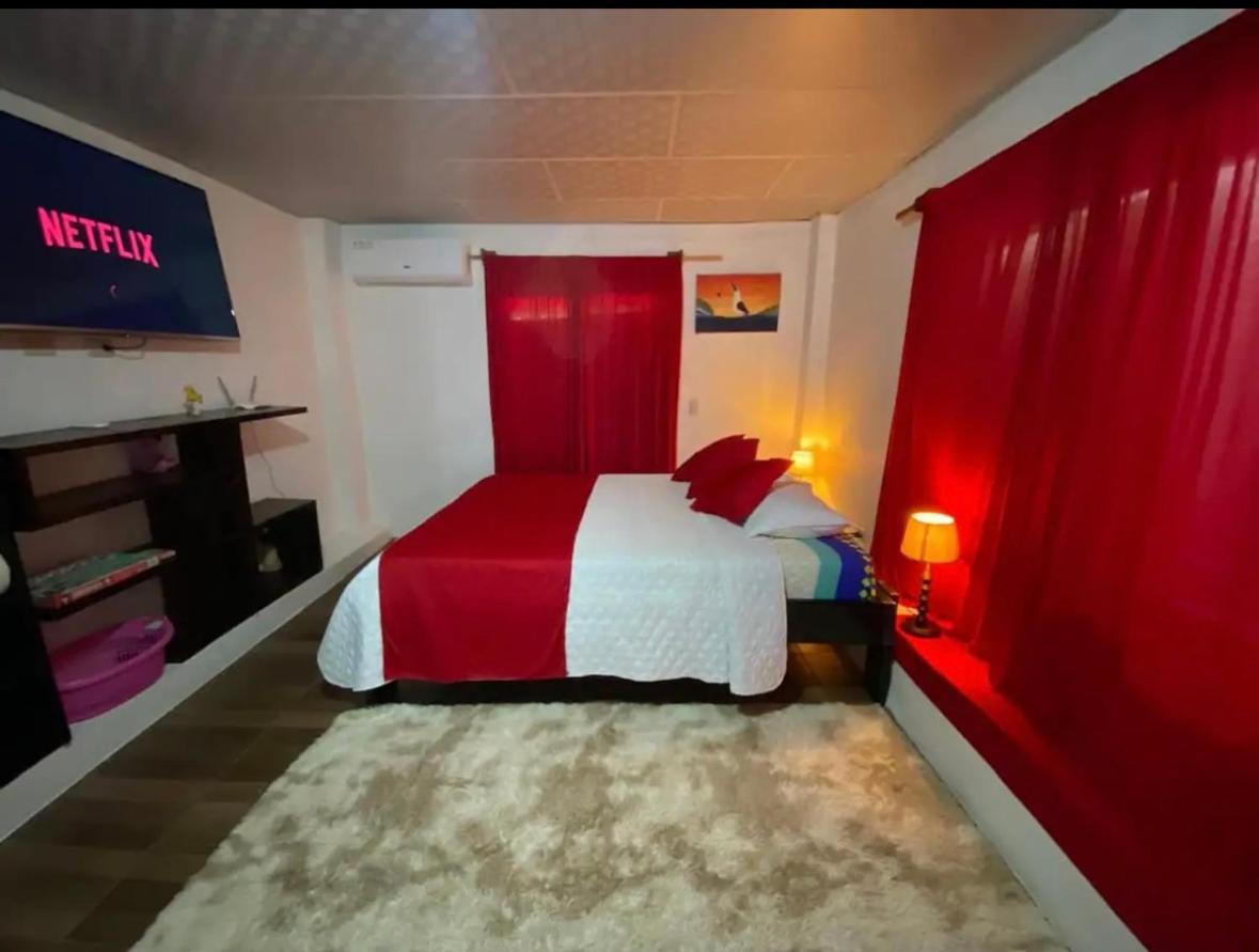 Beagle House interior view