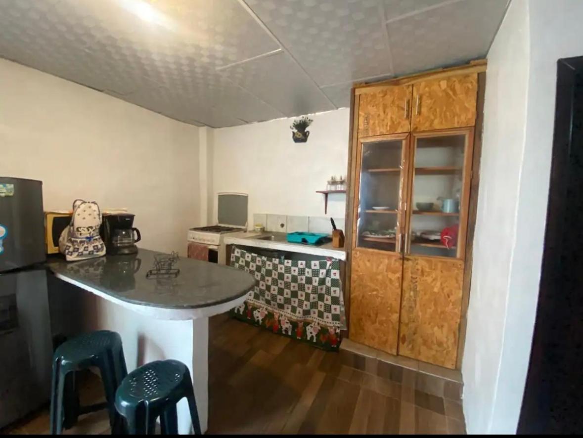 Beagle House interior view