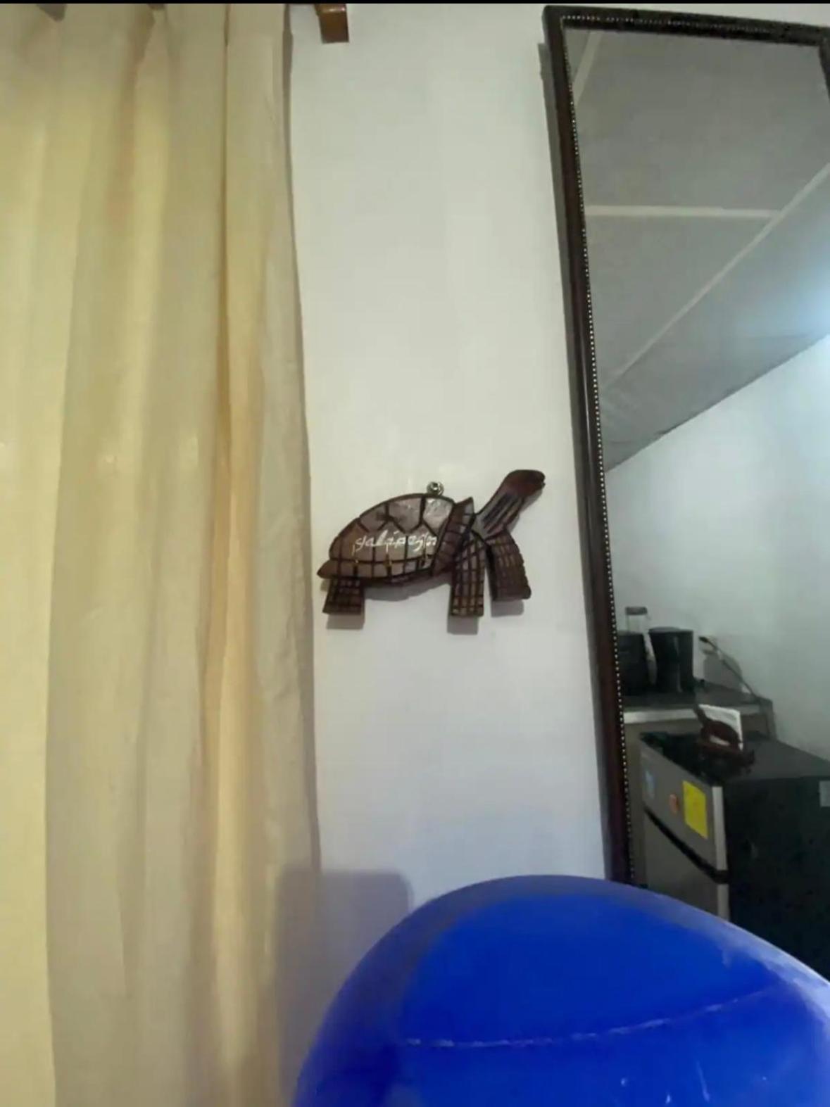 Beagle House interior view