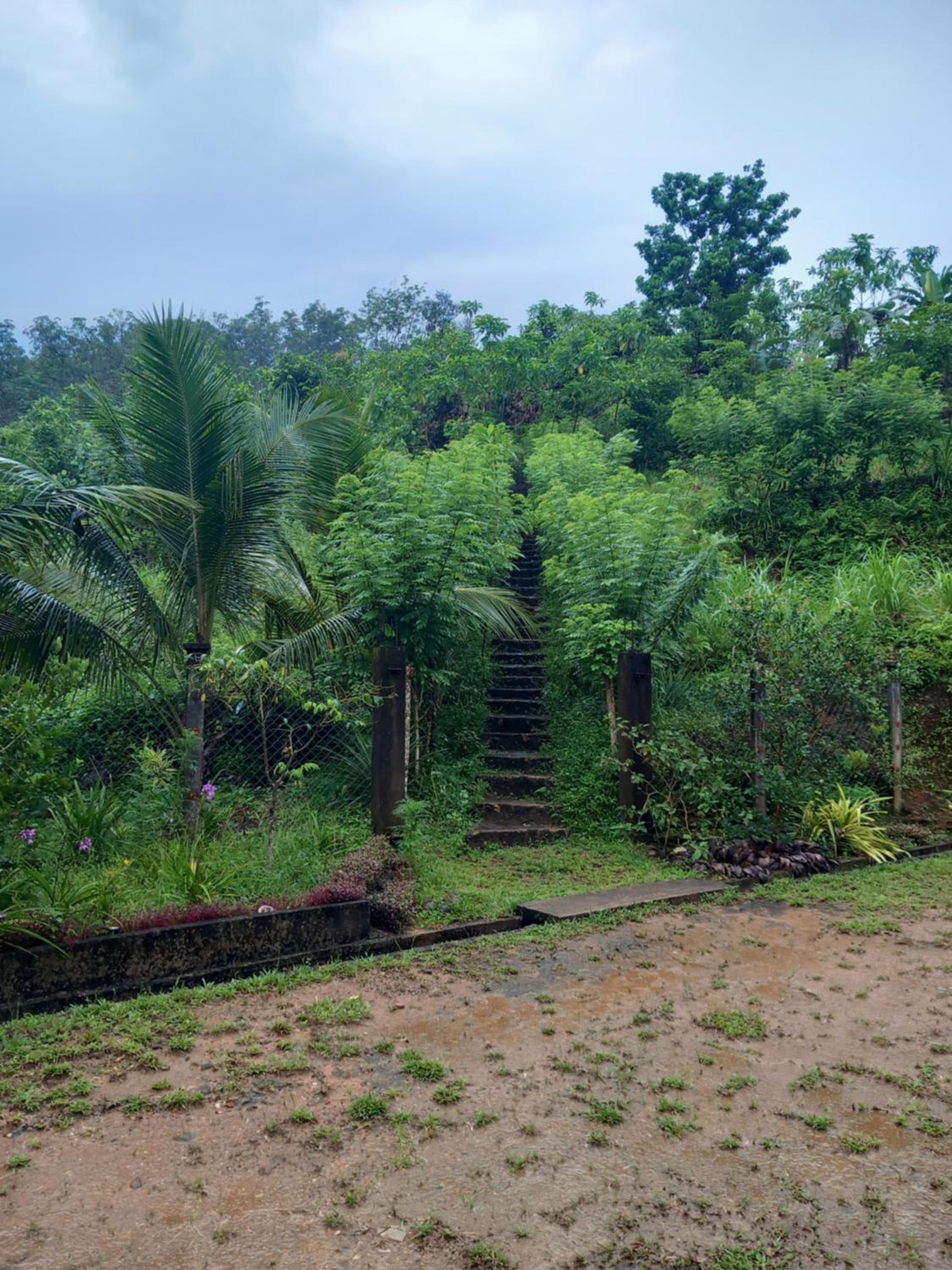 People's Farm