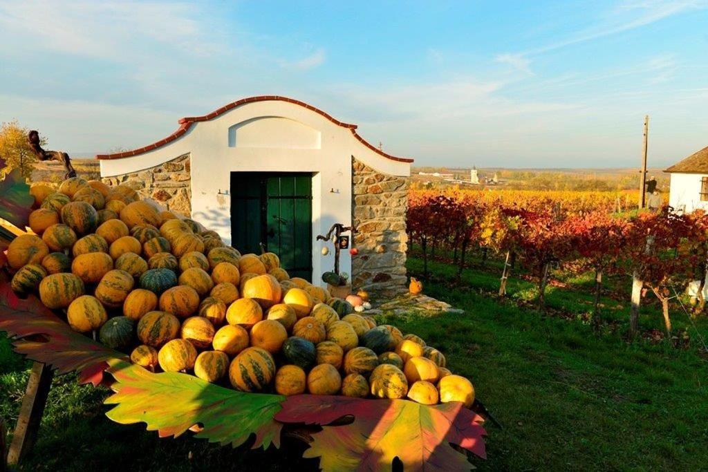 FERIENHAUS Weinviertel