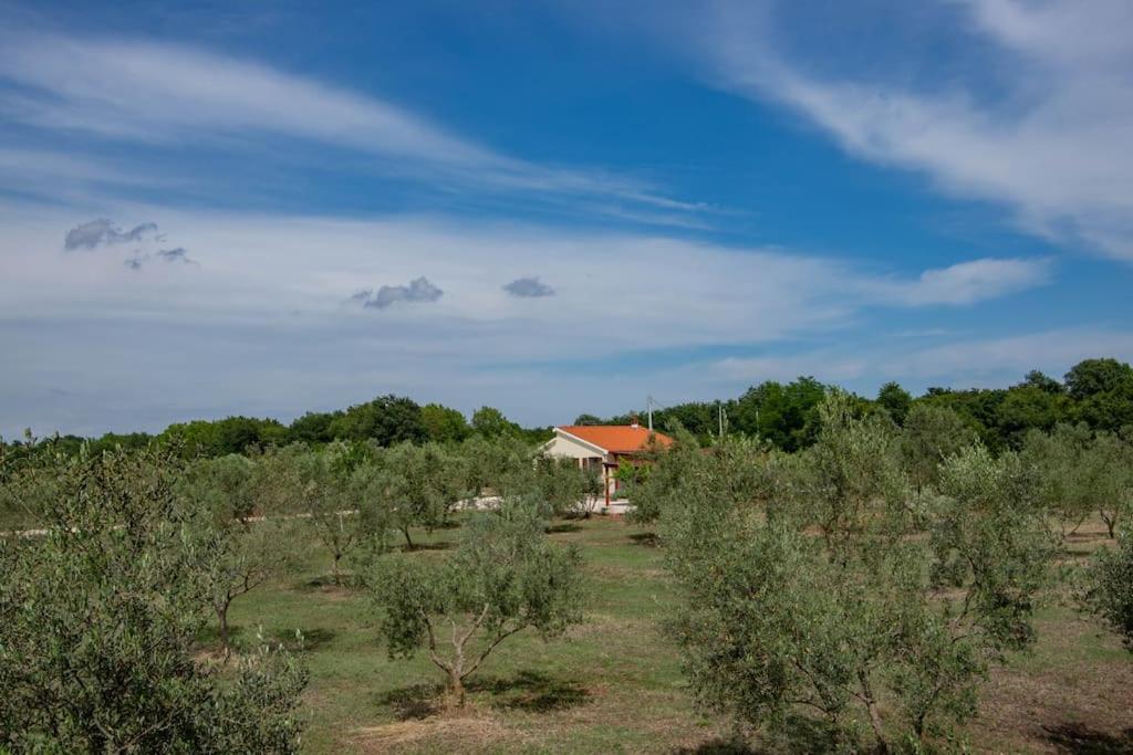 Secluded house in the nature view 5