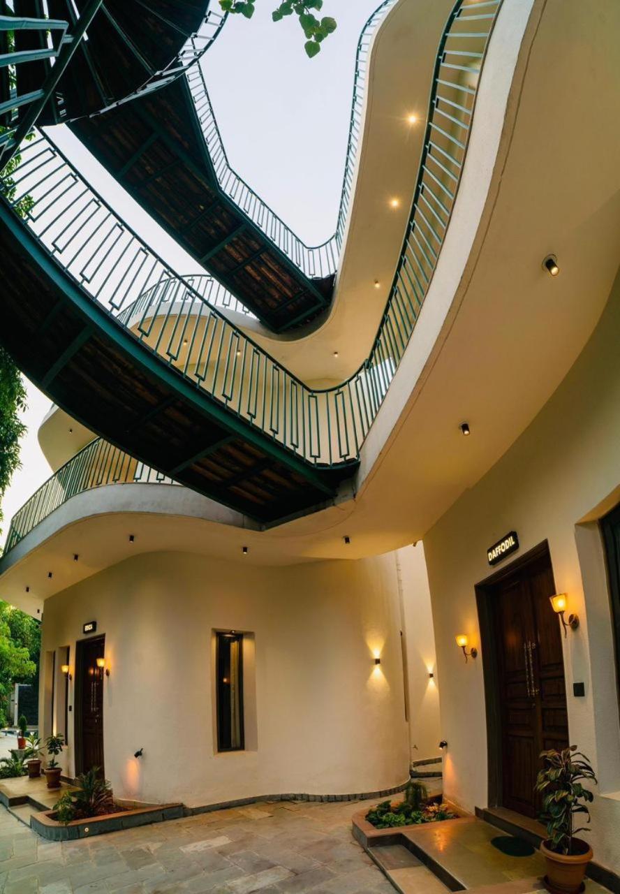 Mahogany Mansion
