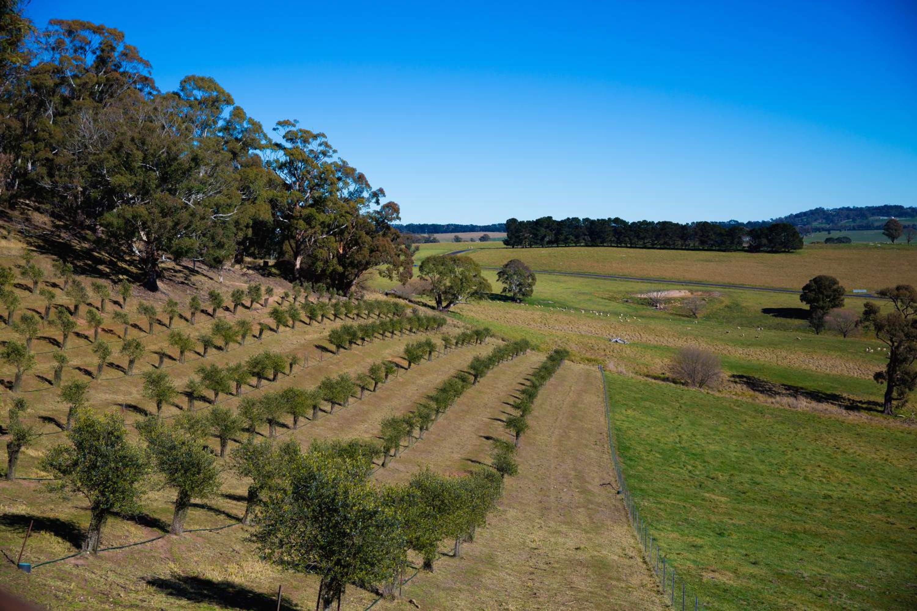 Lake Oberon Estate