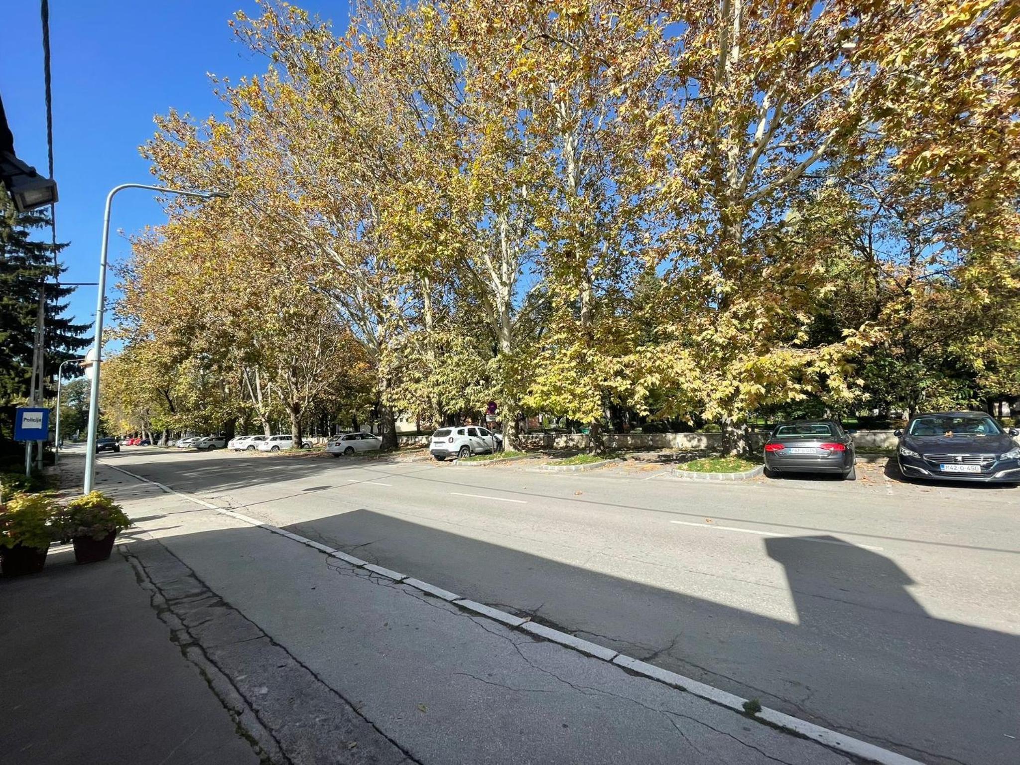 Apartman Mole