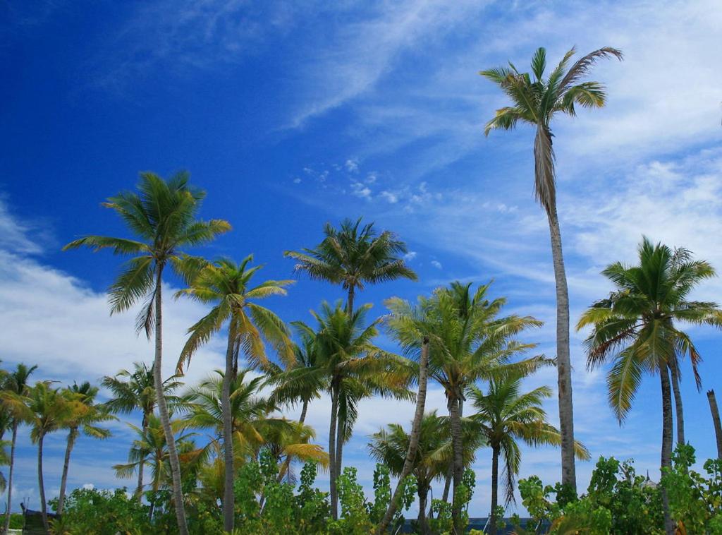 Kendhoo holidays