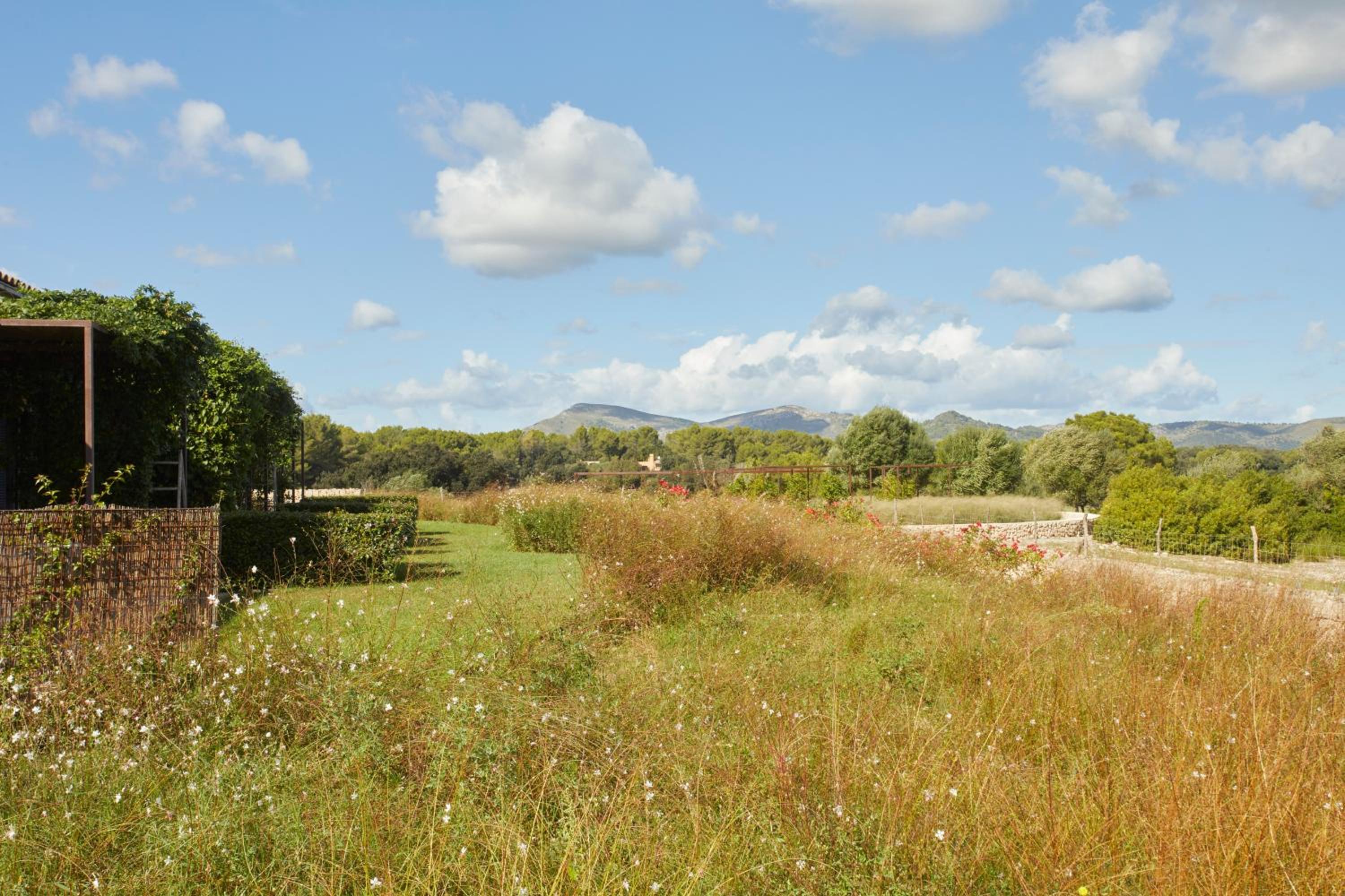 Finca Sestelrica