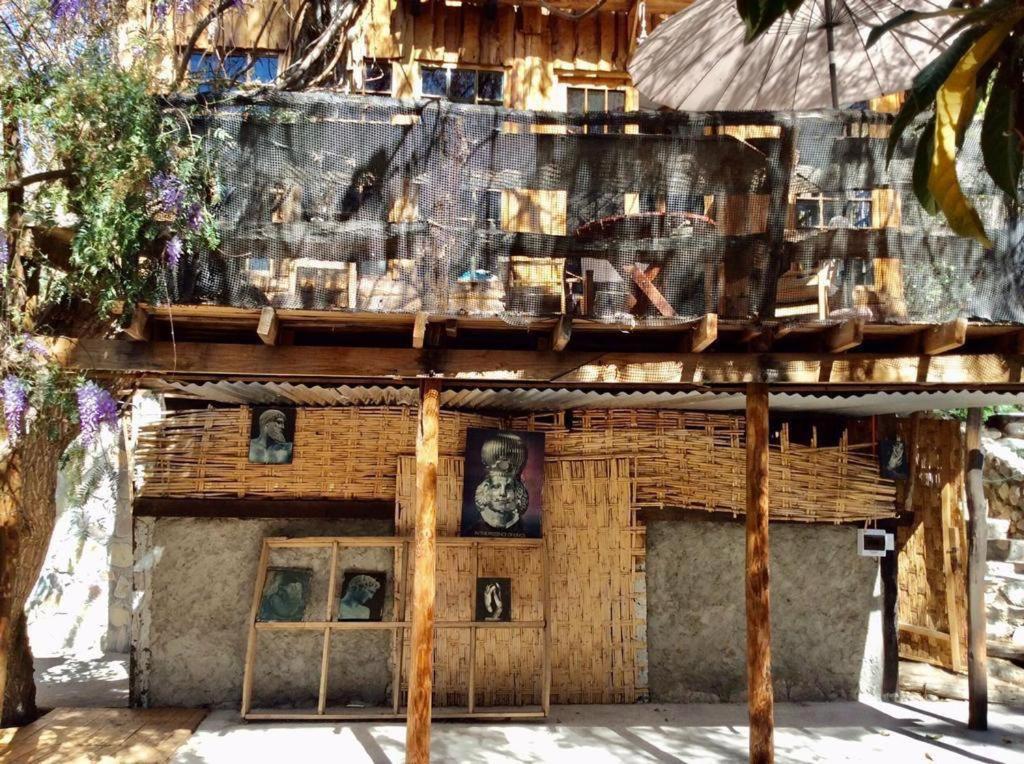 La Casa entre los Árboles en el Valle de Elqui Montegrande
