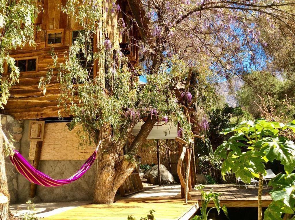 La Casa entre los Árboles en el Valle de Elqui Montegrande