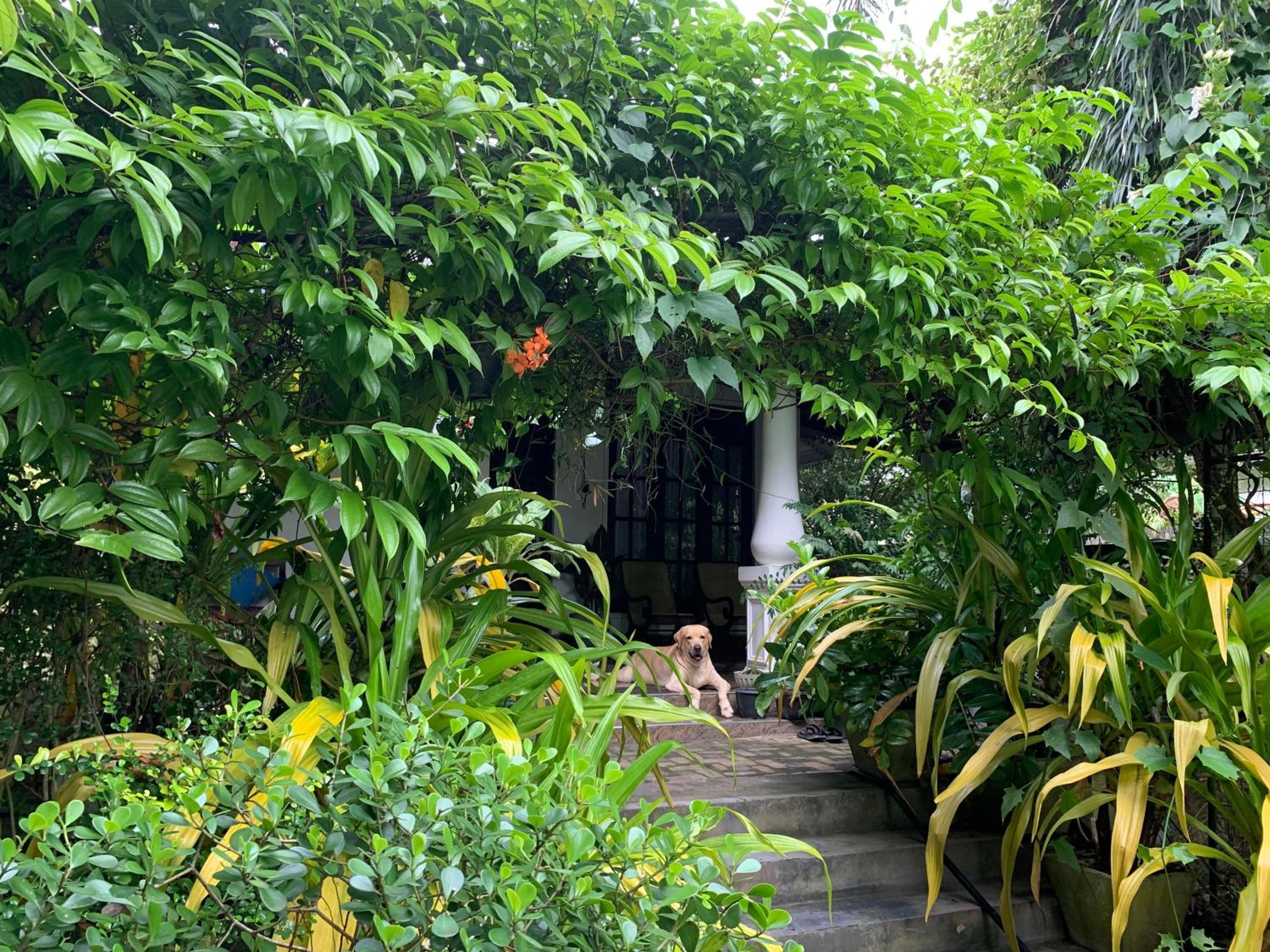 Villa Green