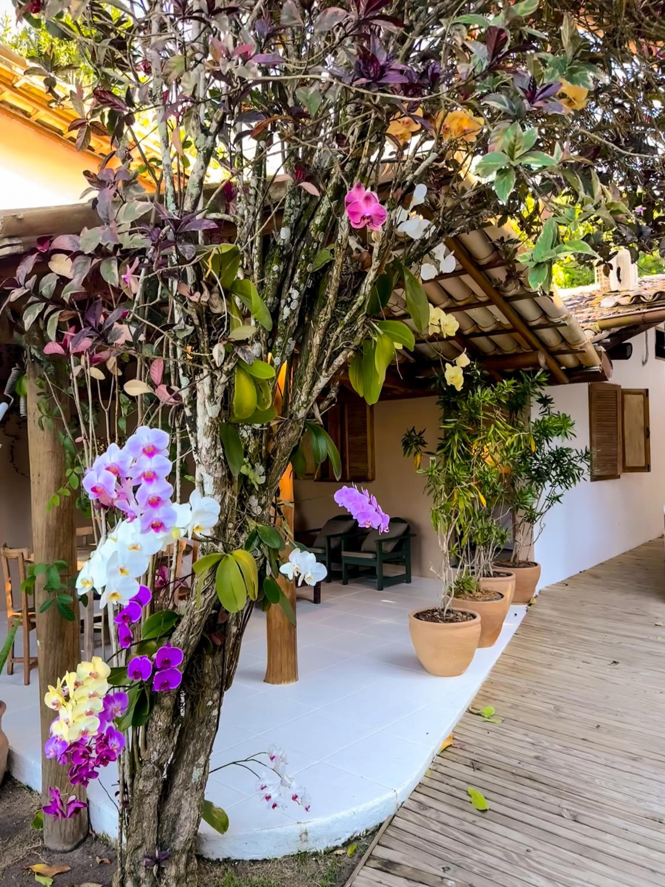 Casa Rabanete Trancoso