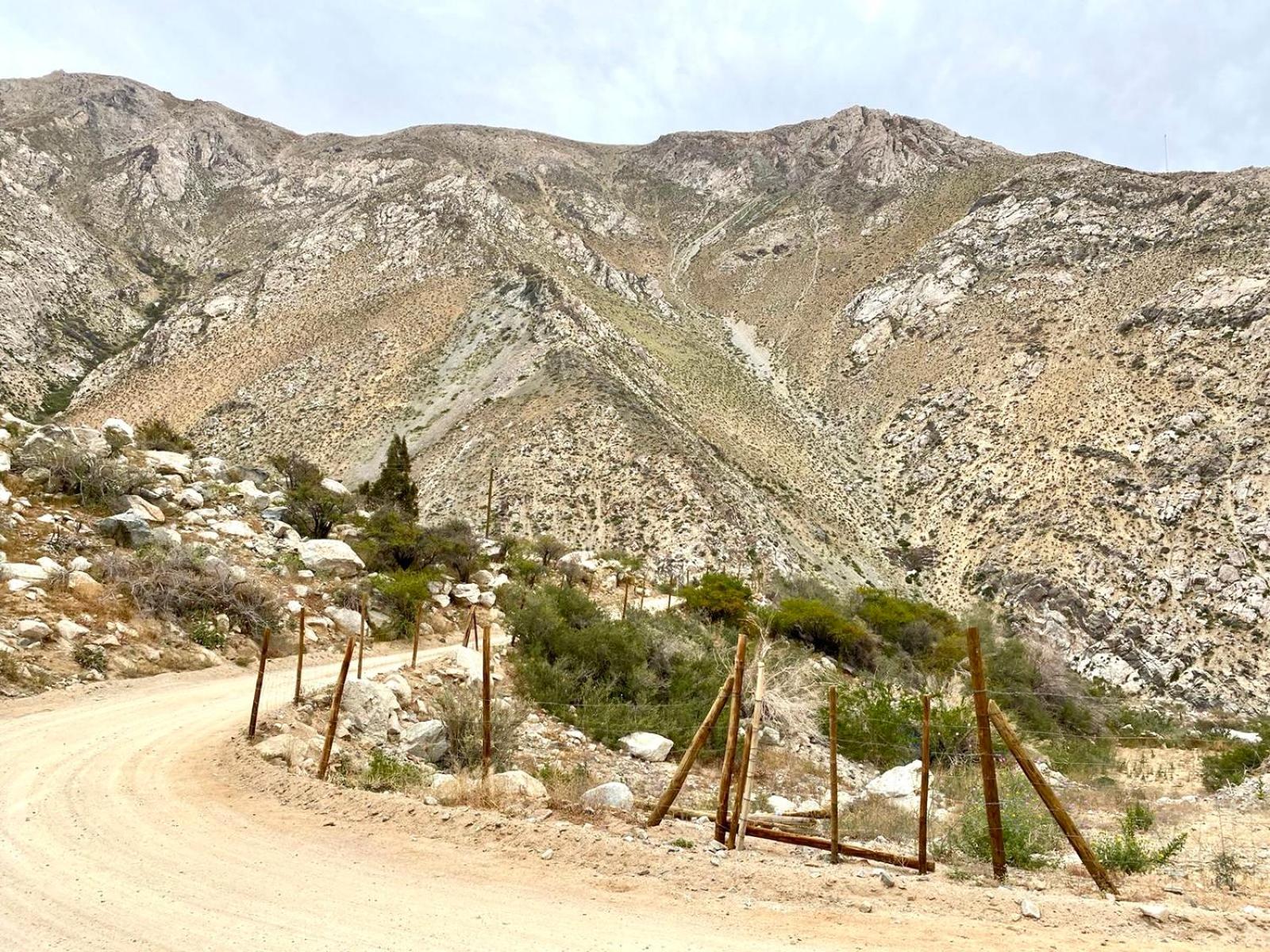 La Casa entre los Árboles en el Valle de Elqui Montegrande
