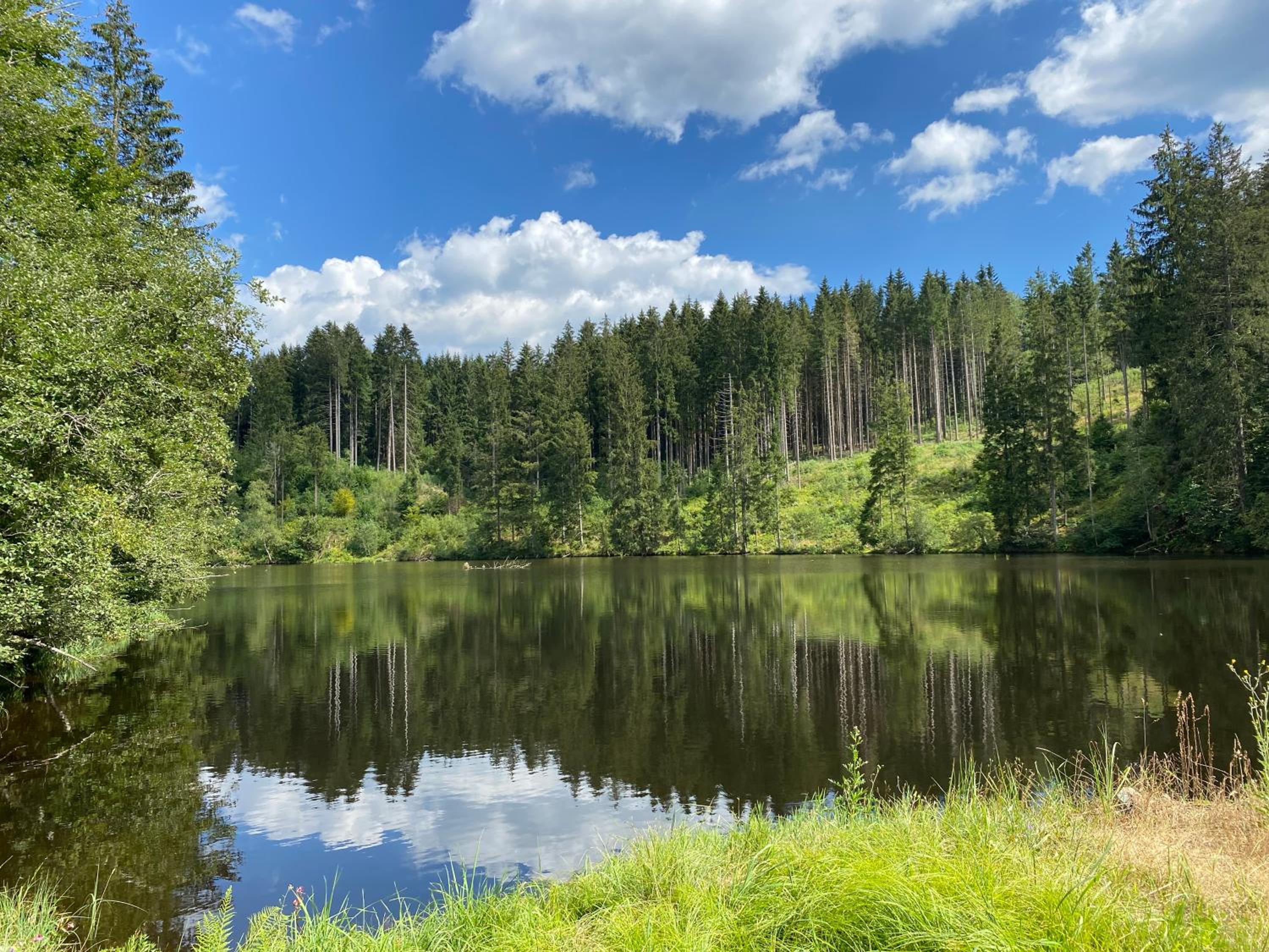 FeWo Jule im Predigtstuhl Resort